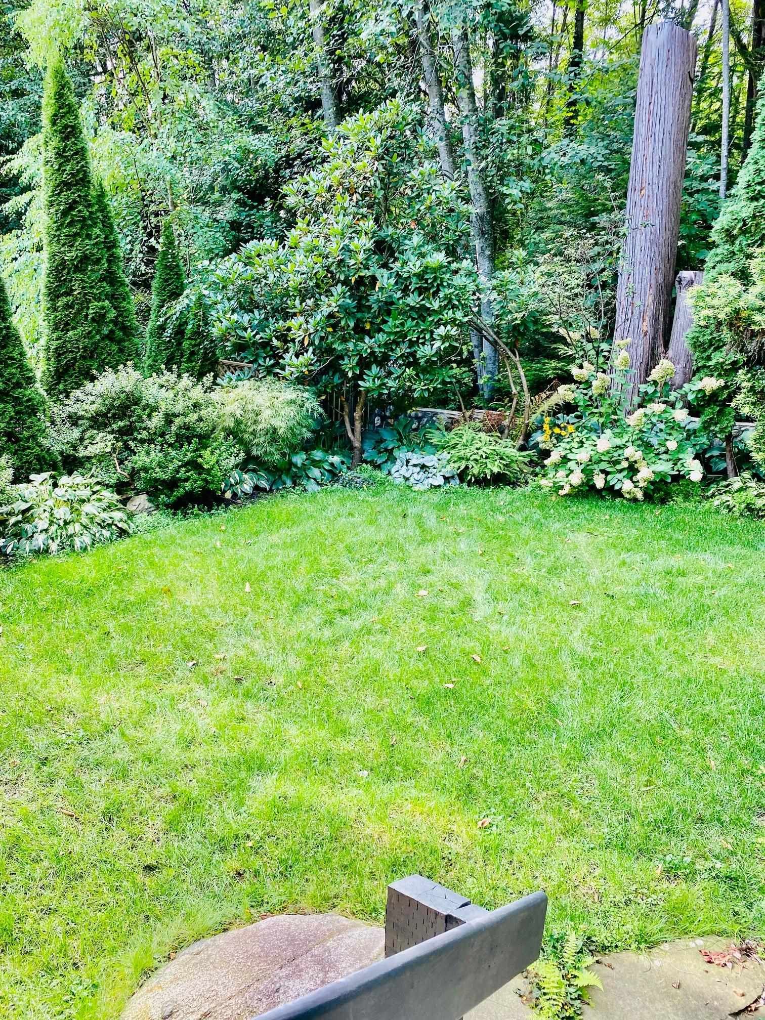 Listing Image 38