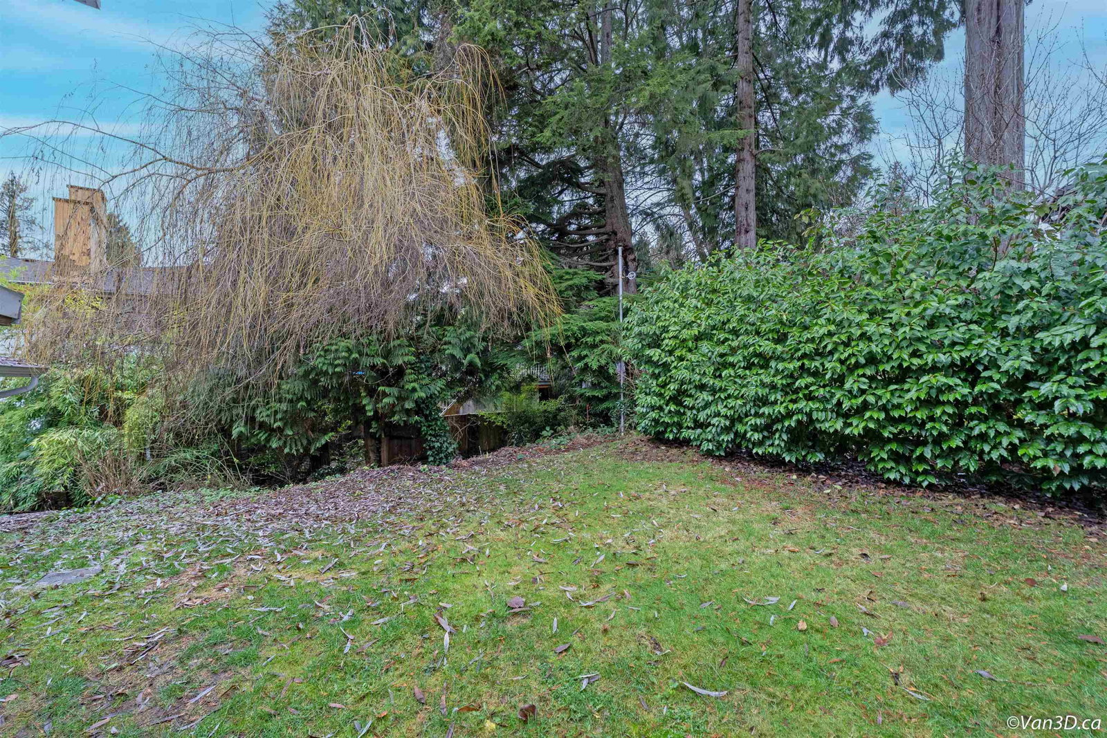 Listing Image 38