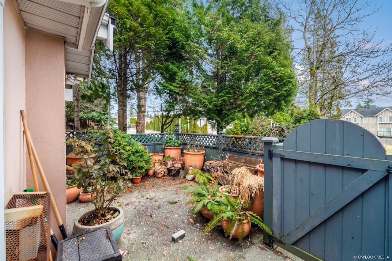 Listing Image 20