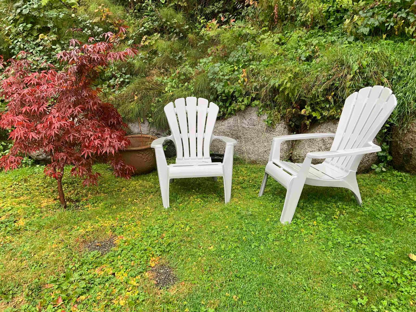 Listing Image 18