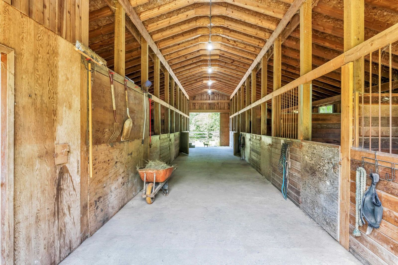 Listing Image 37