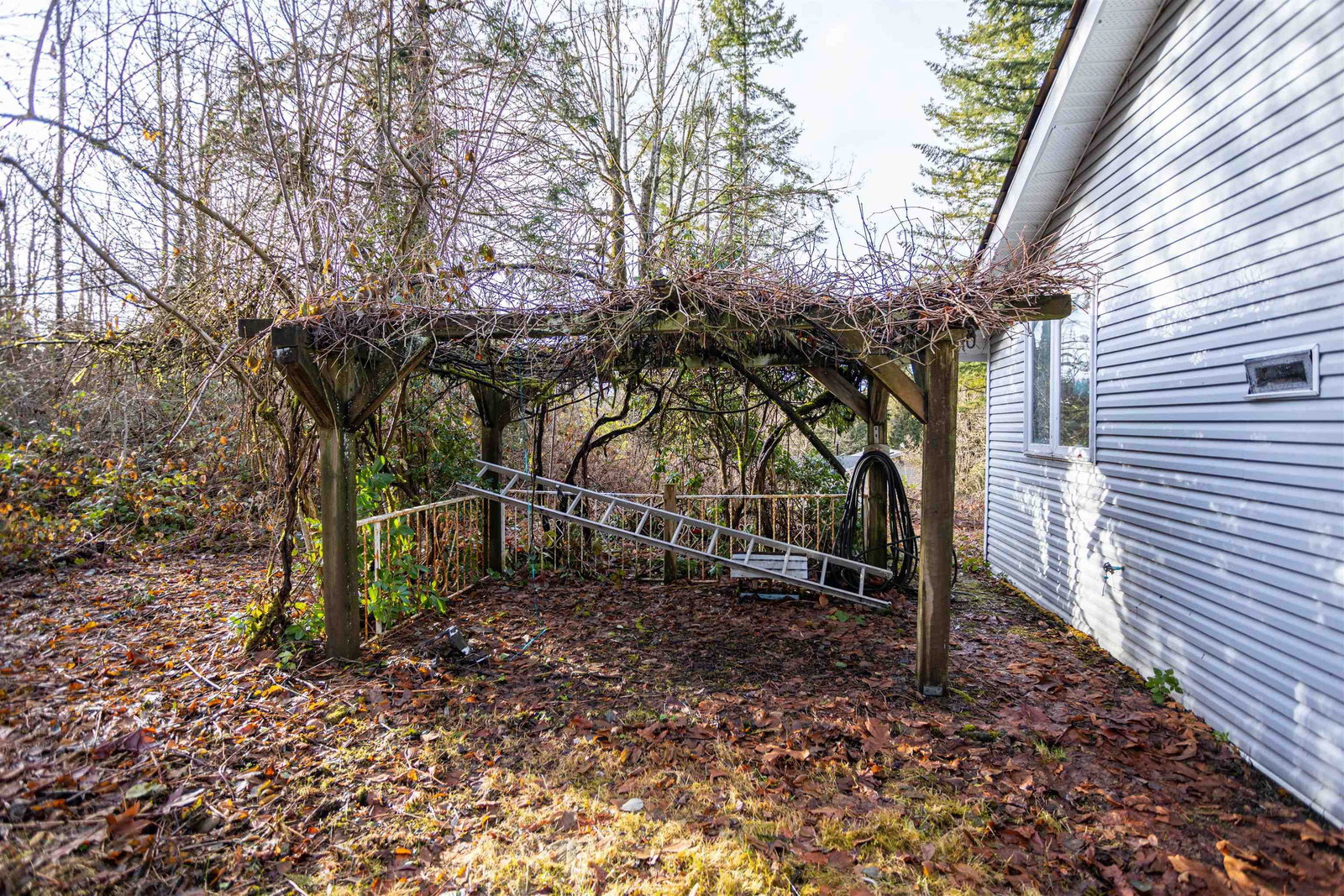 Listing Image 8