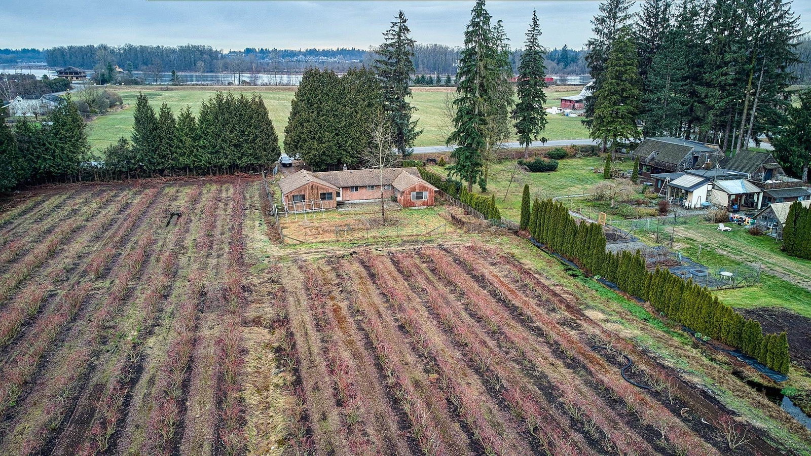 Listing Image 16