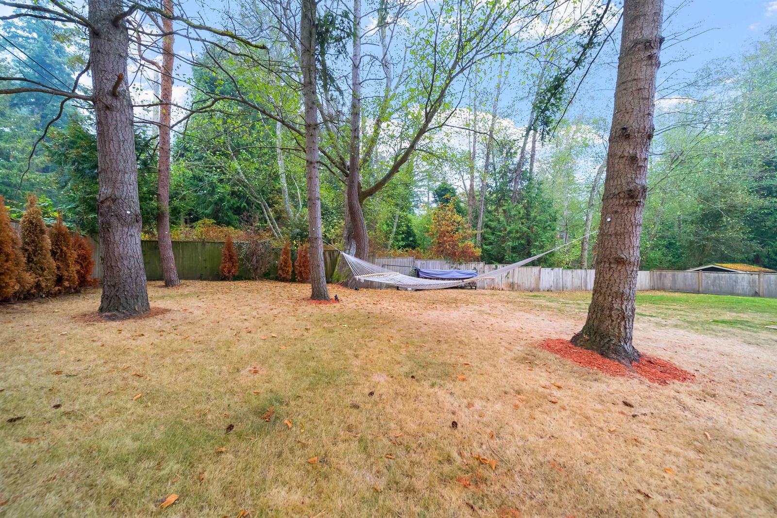 Listing Image 18