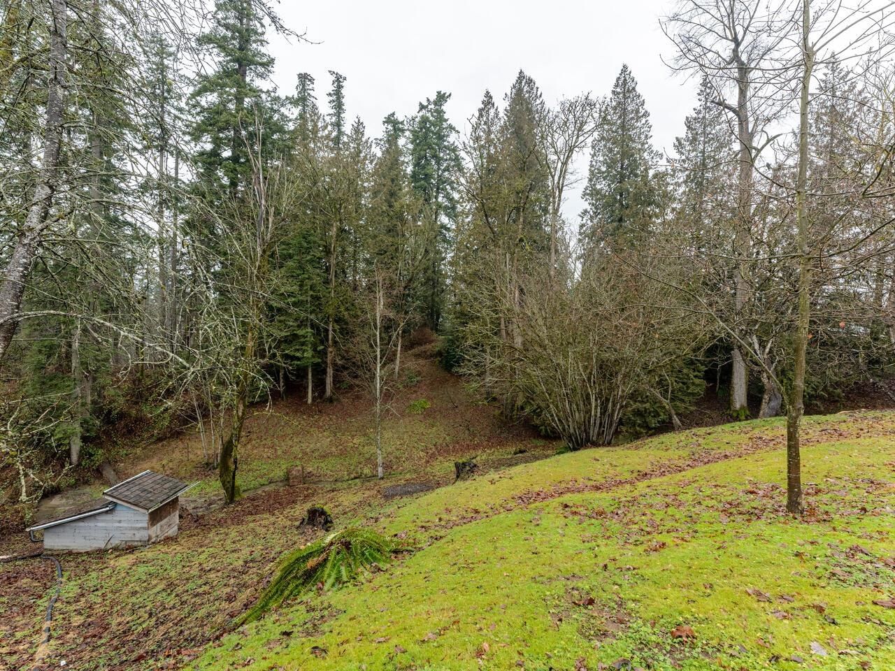 Listing Image 38