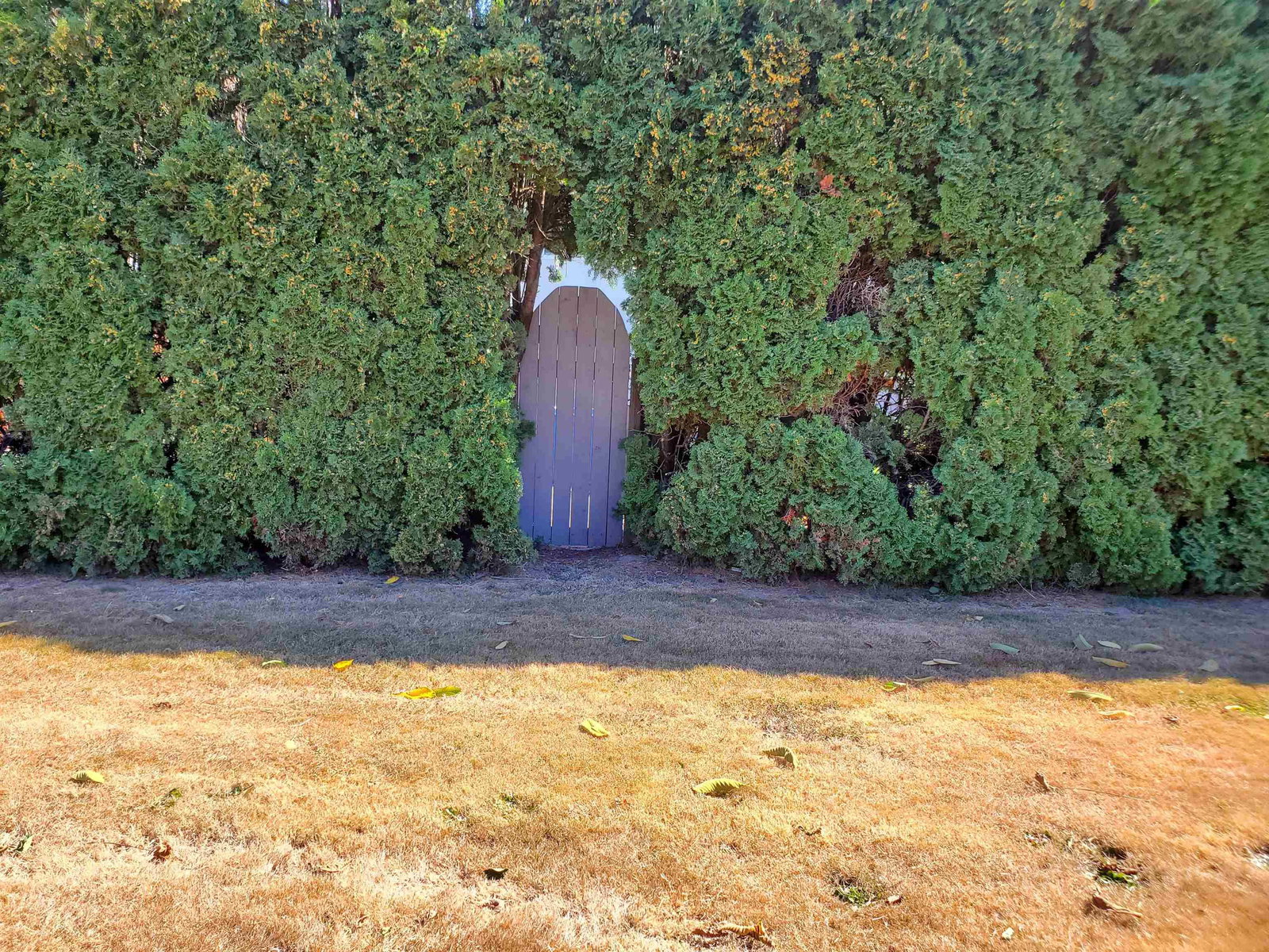 Listing Image 35
