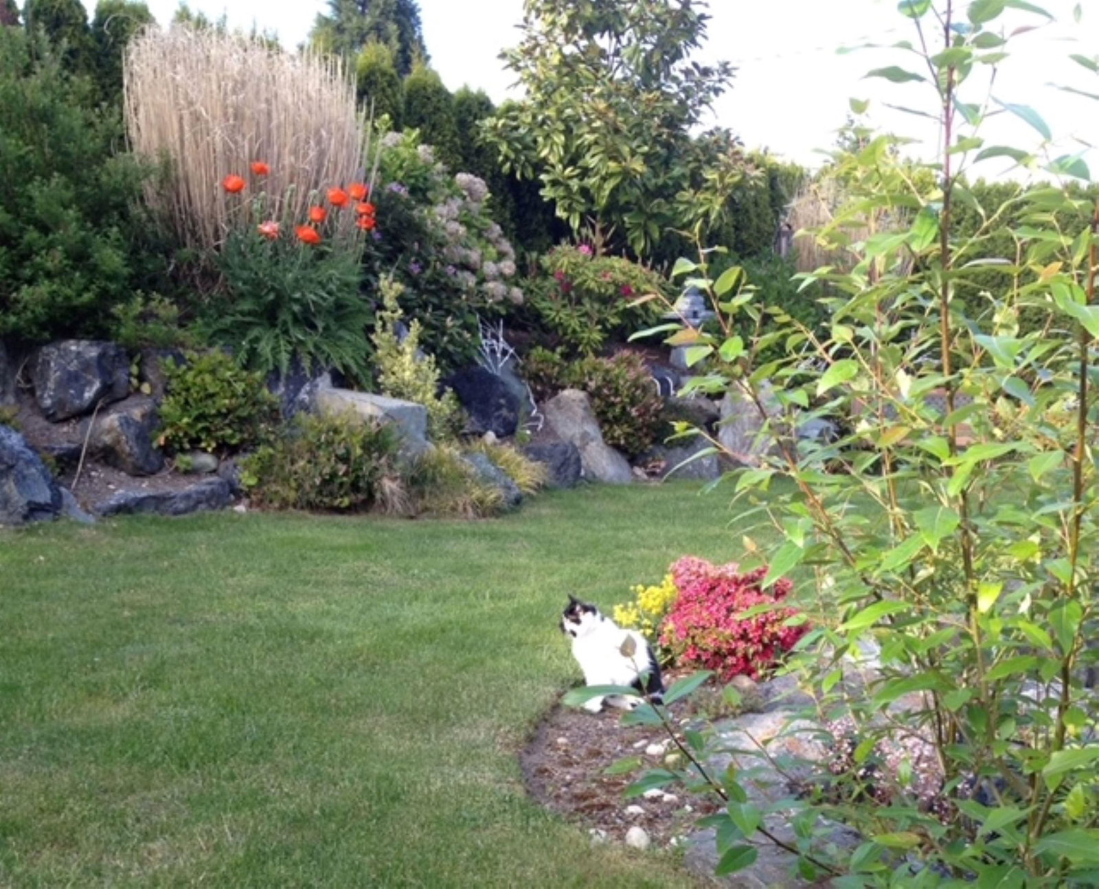 Listing Image 32