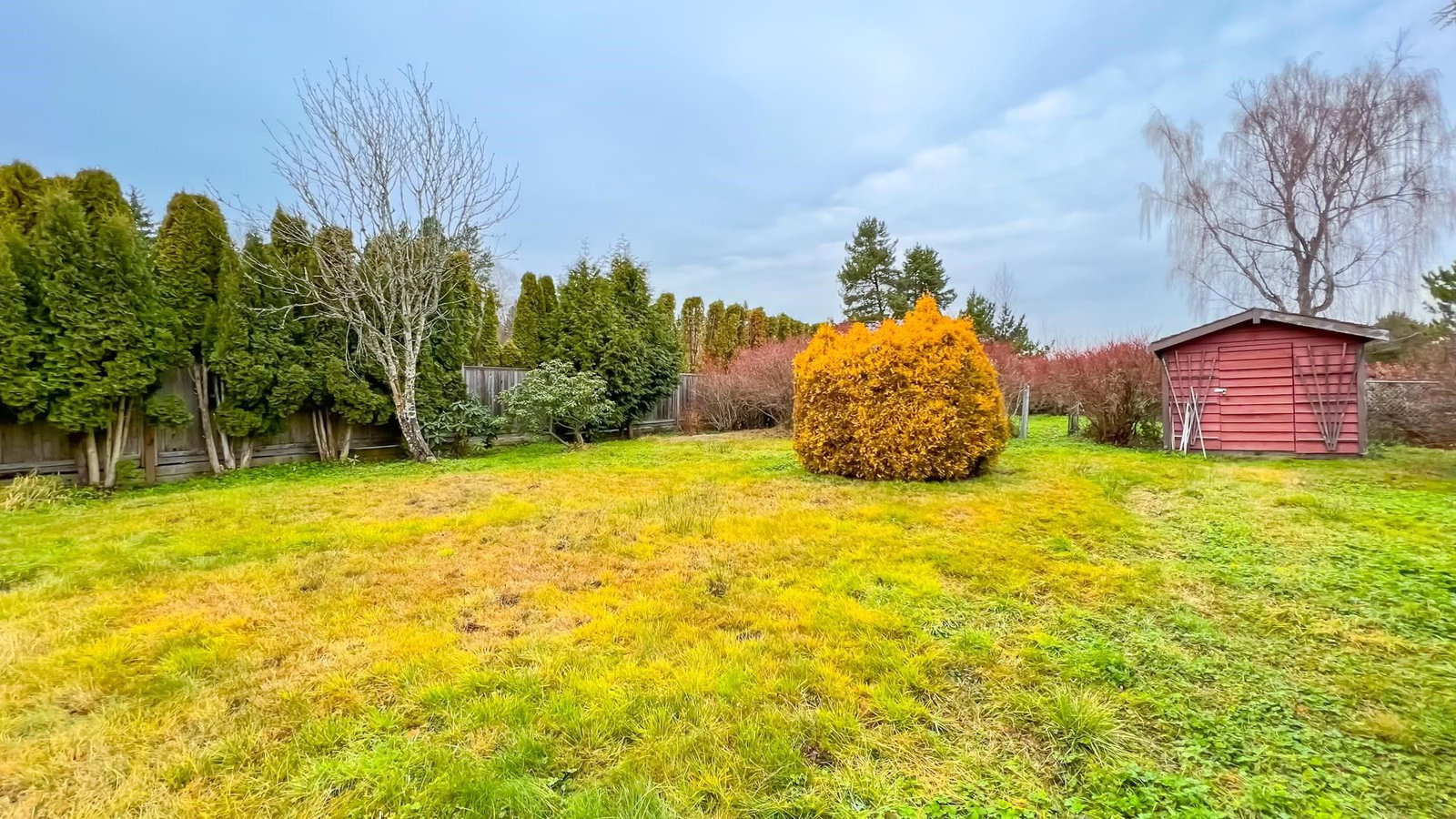 Listing Image 31