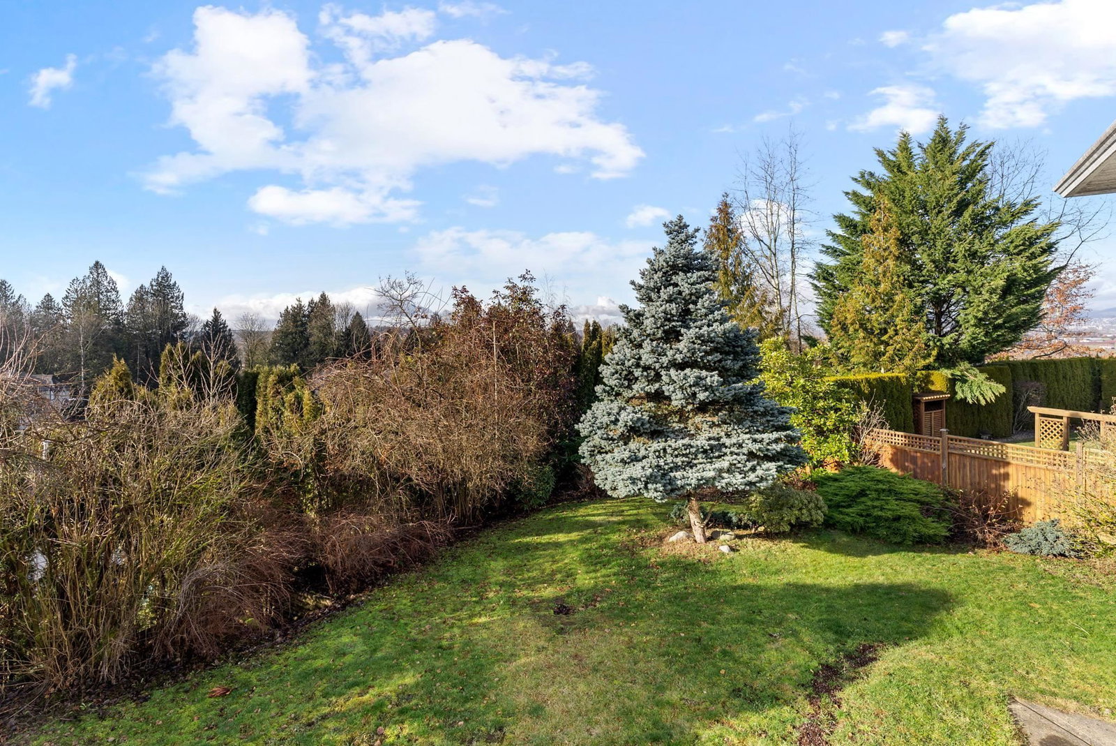 Listing Image 33