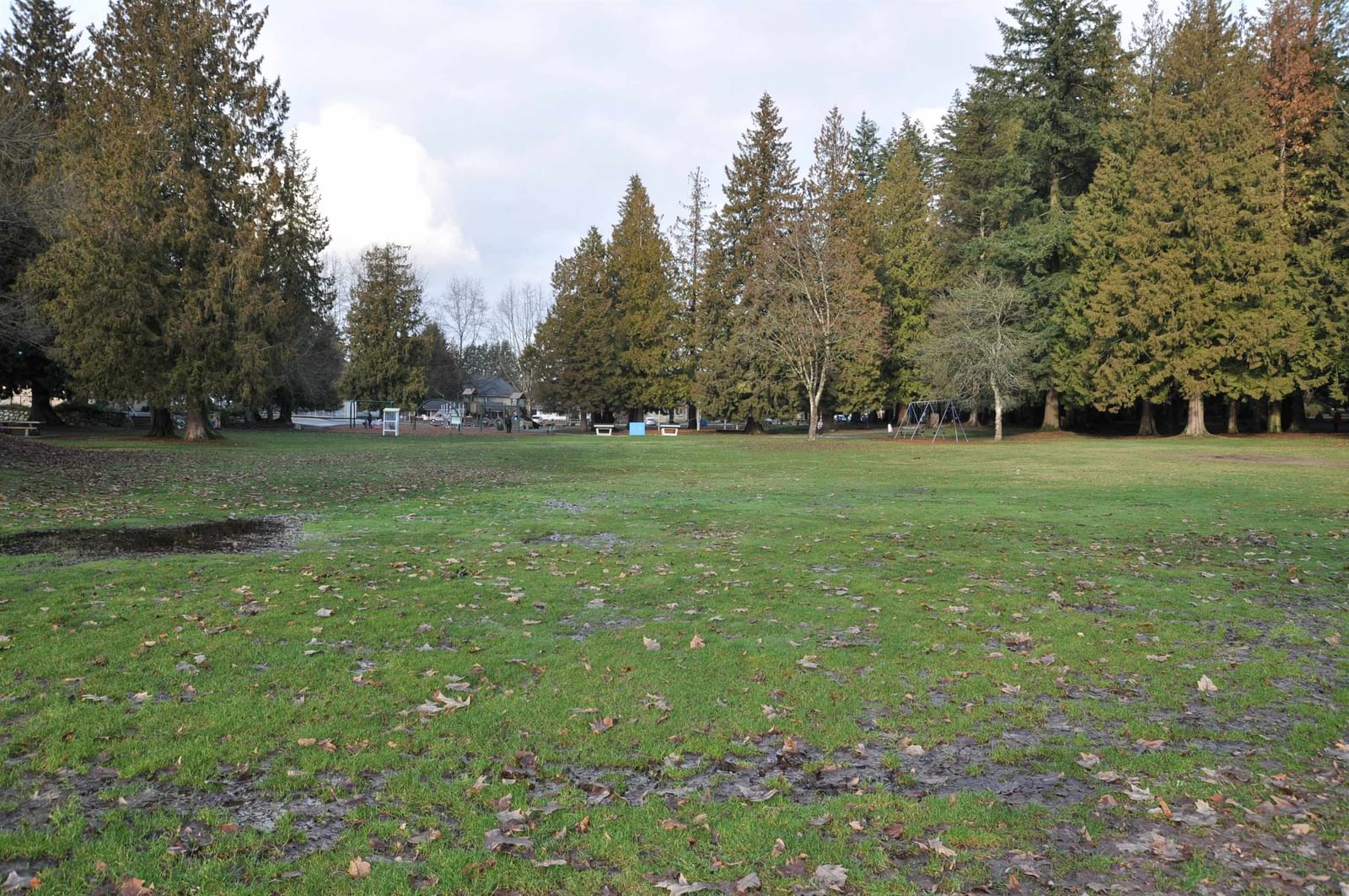 Listing Image 34