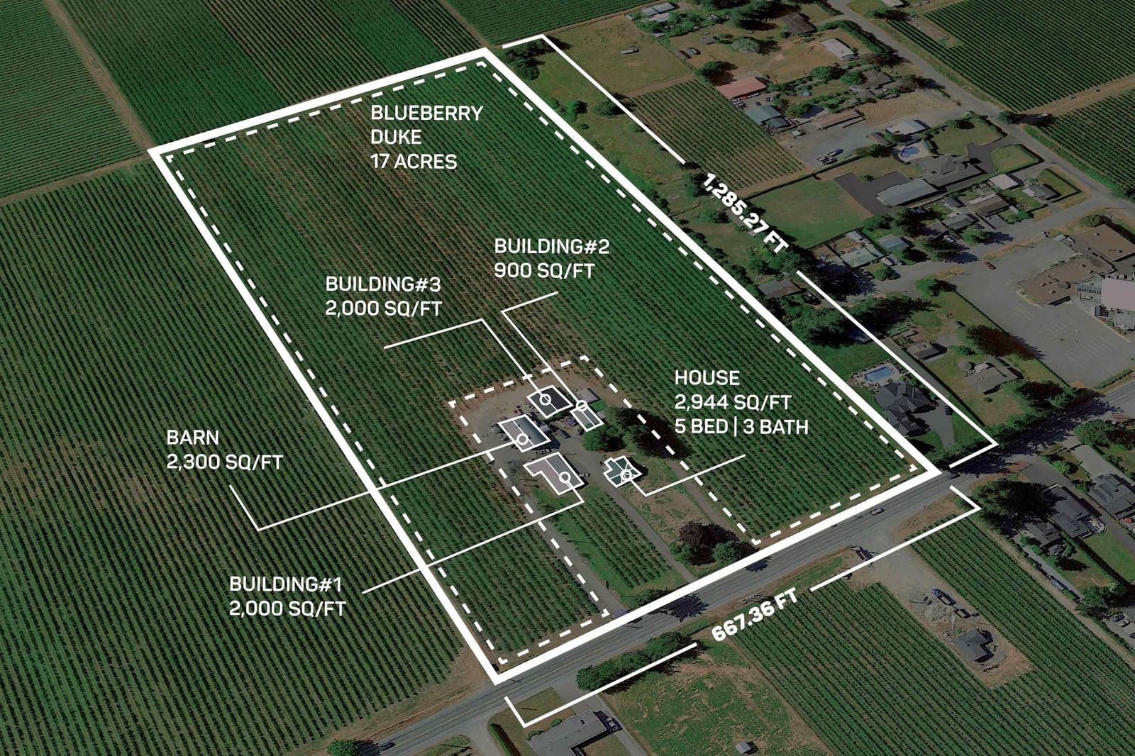 Listing Image 1
