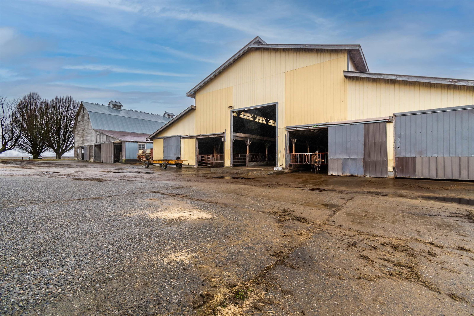 Listing Image 11