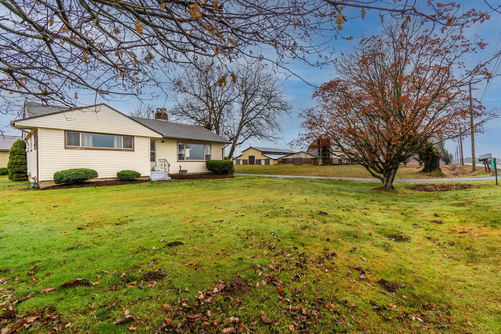Listing Image 19