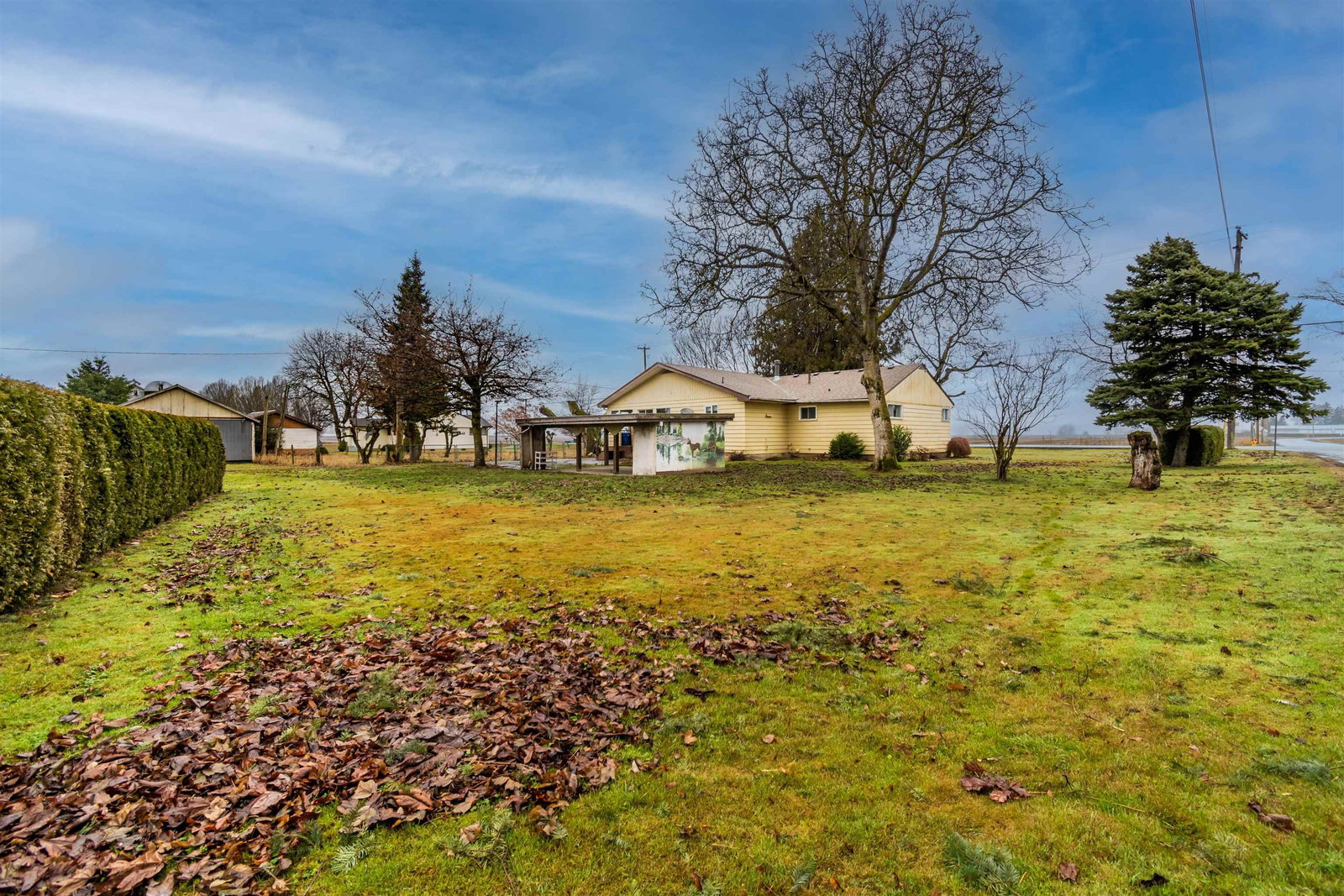 Listing Image 22