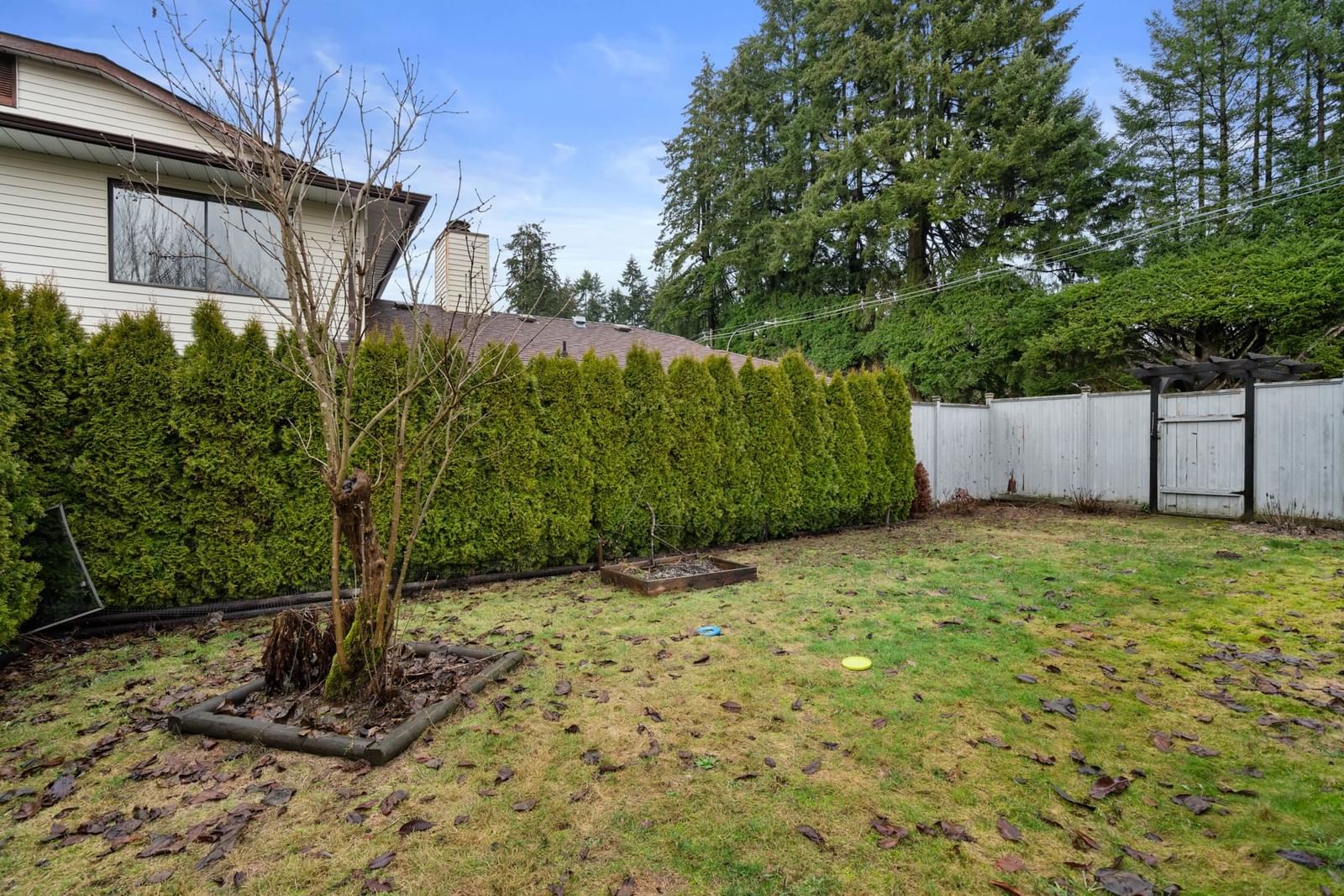 Listing Image 31