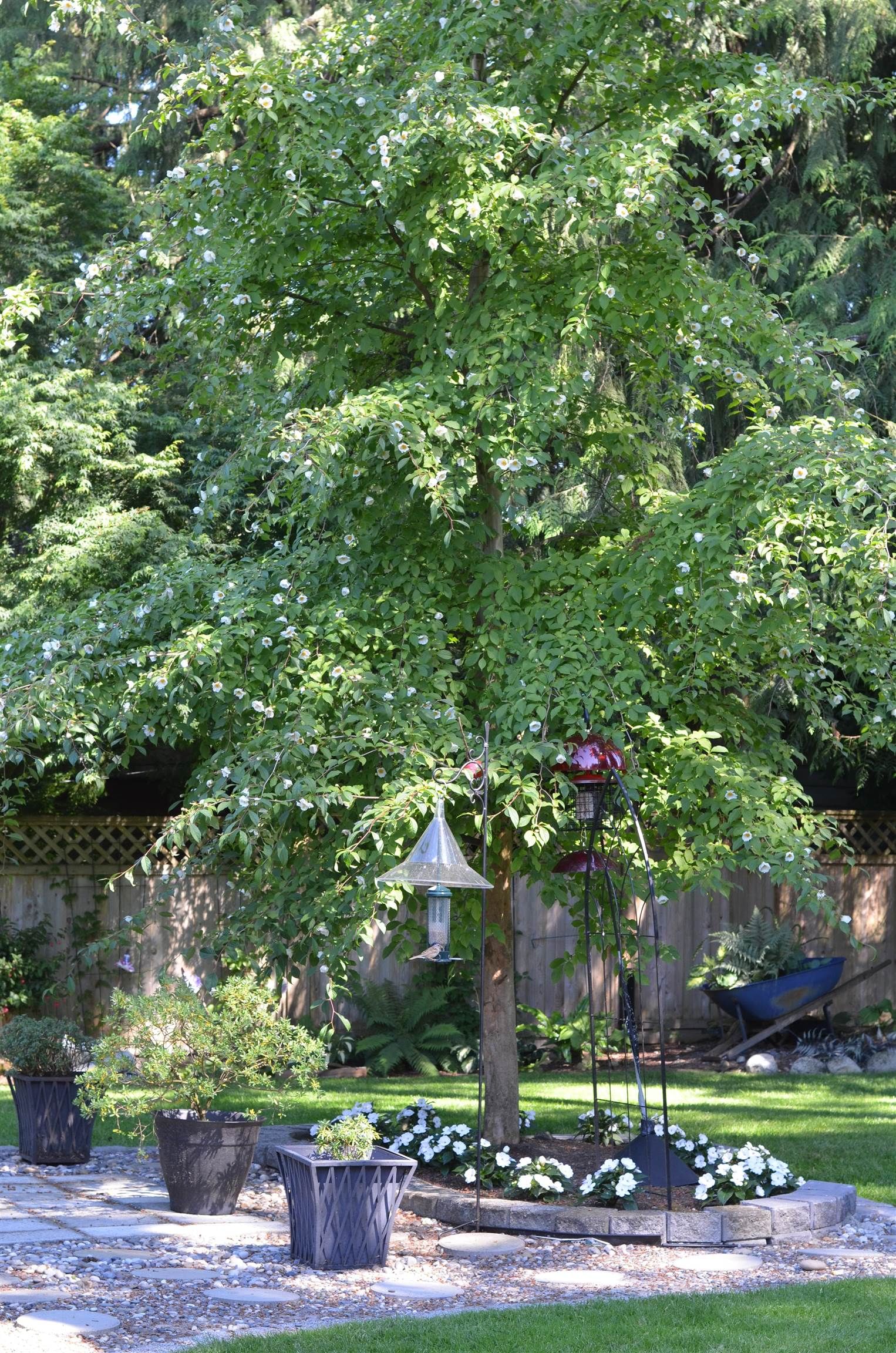 Listing Image 24
