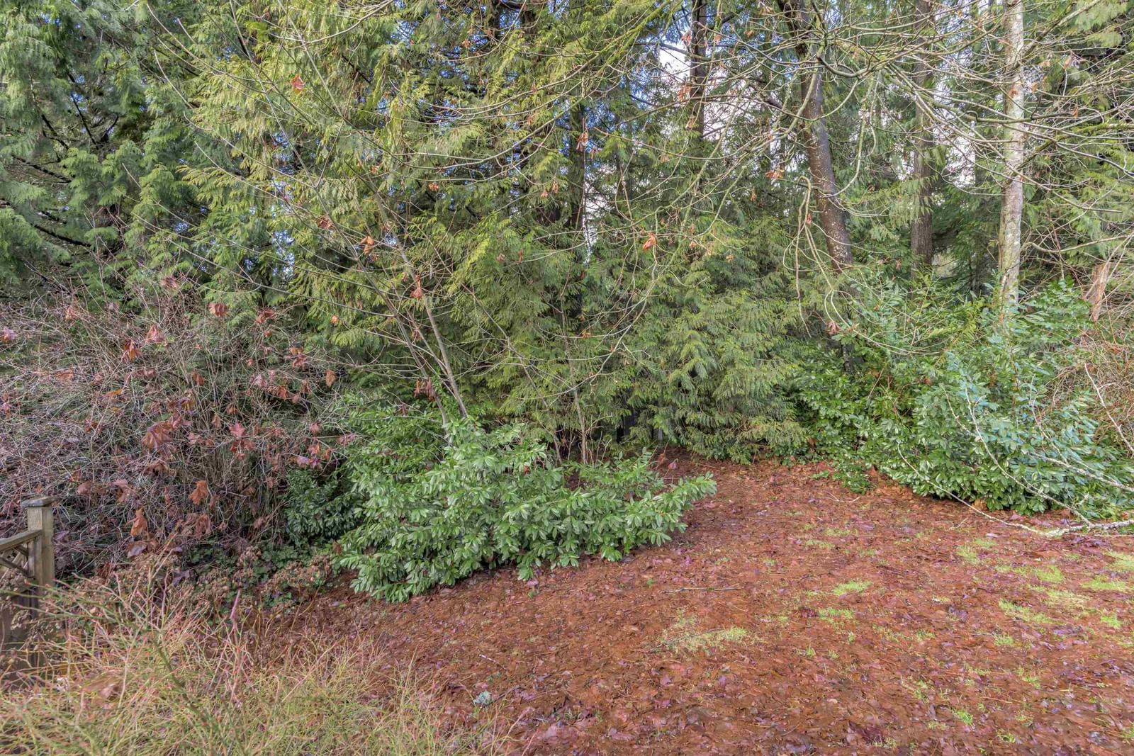 Listing Image 36