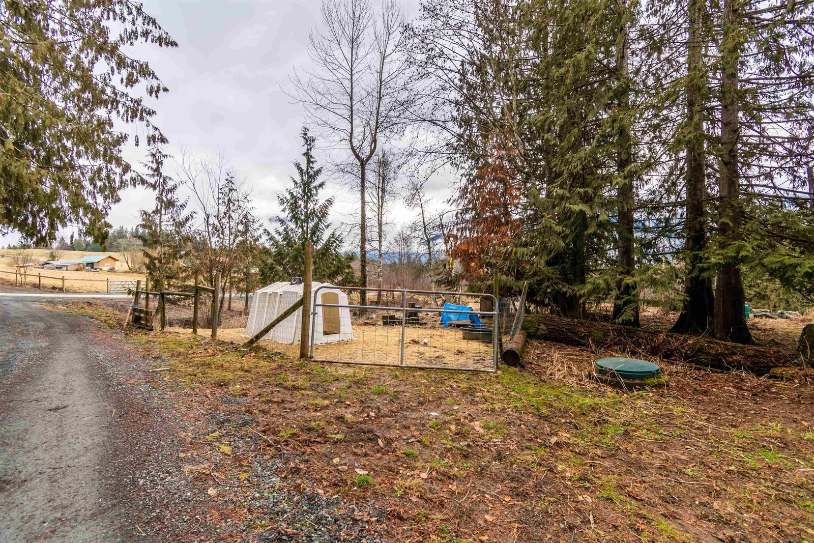 Listing Image 11