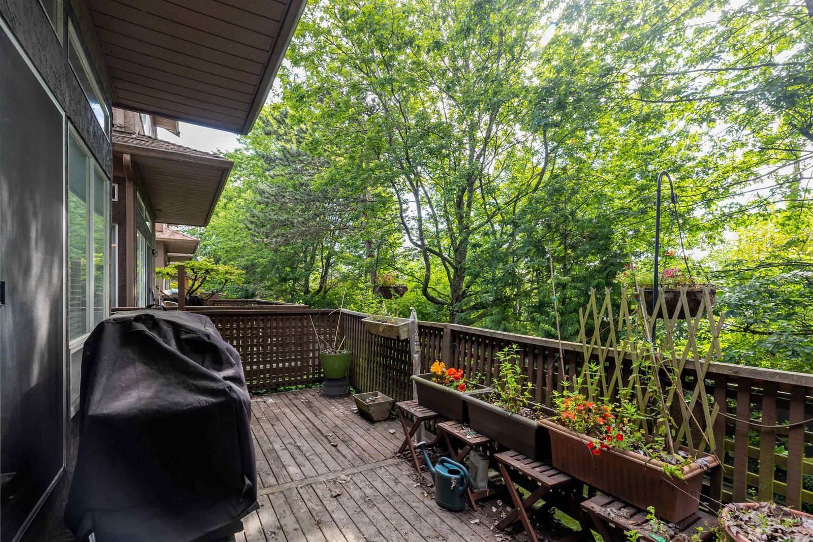 Listing Image 27