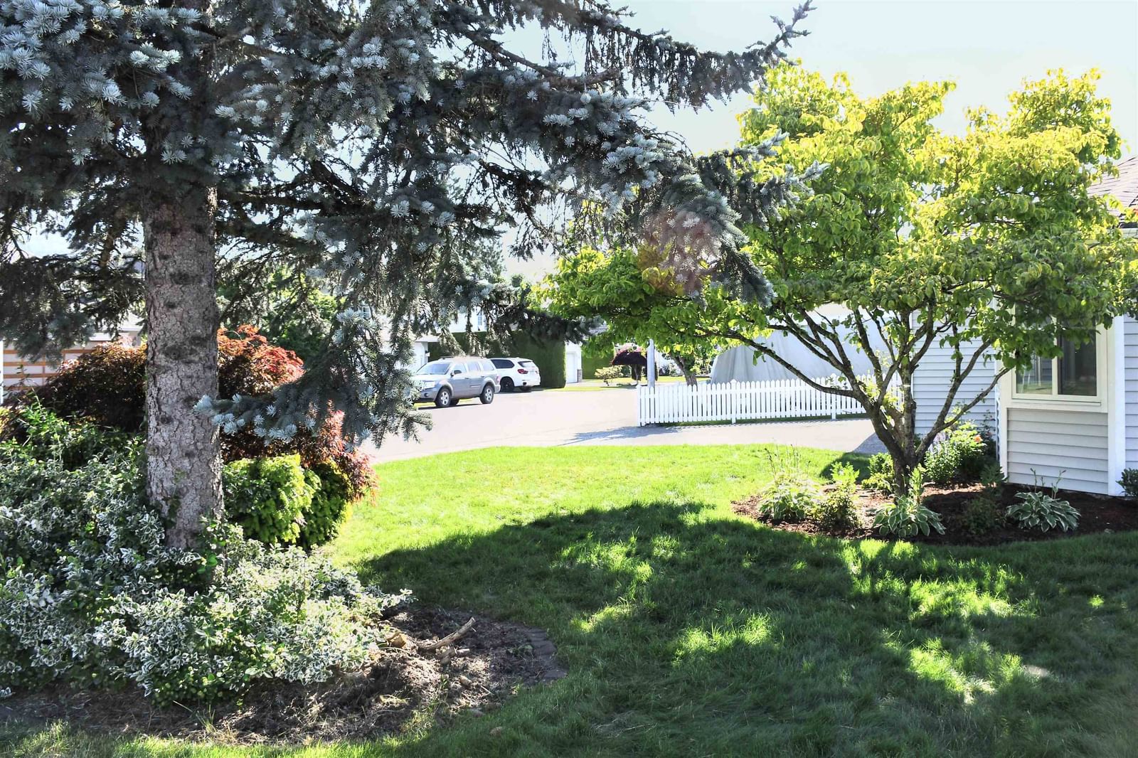 Listing Image 24