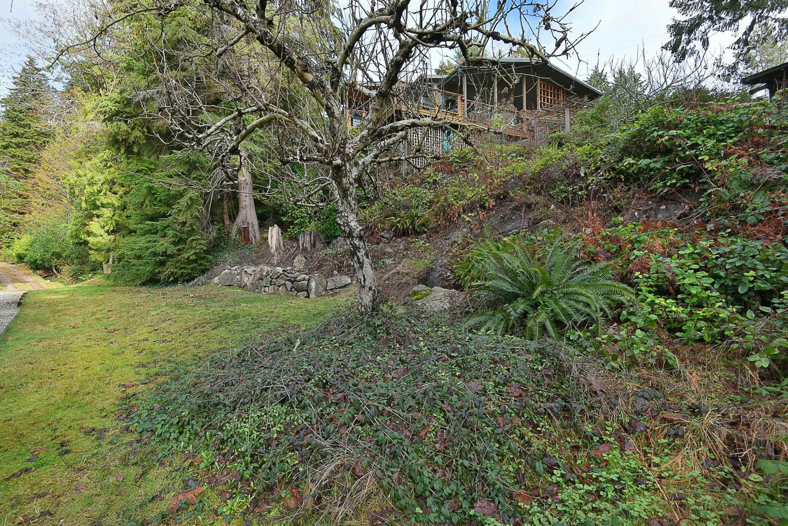 Listing Image 25