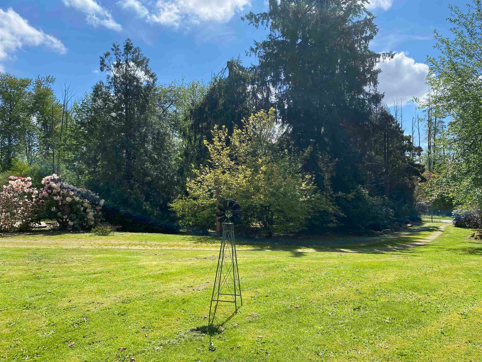 Listing Image 12