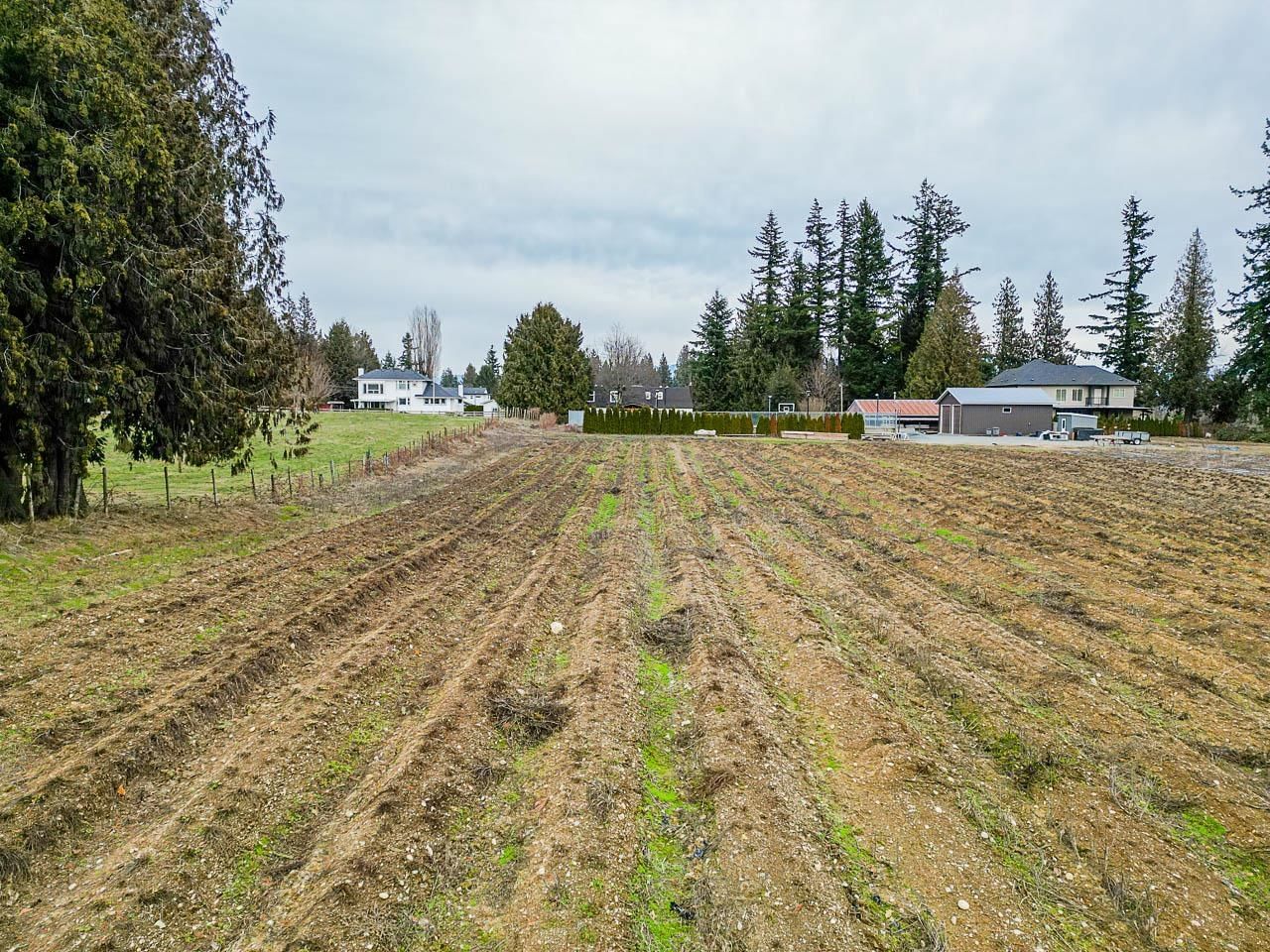 Listing Image 29