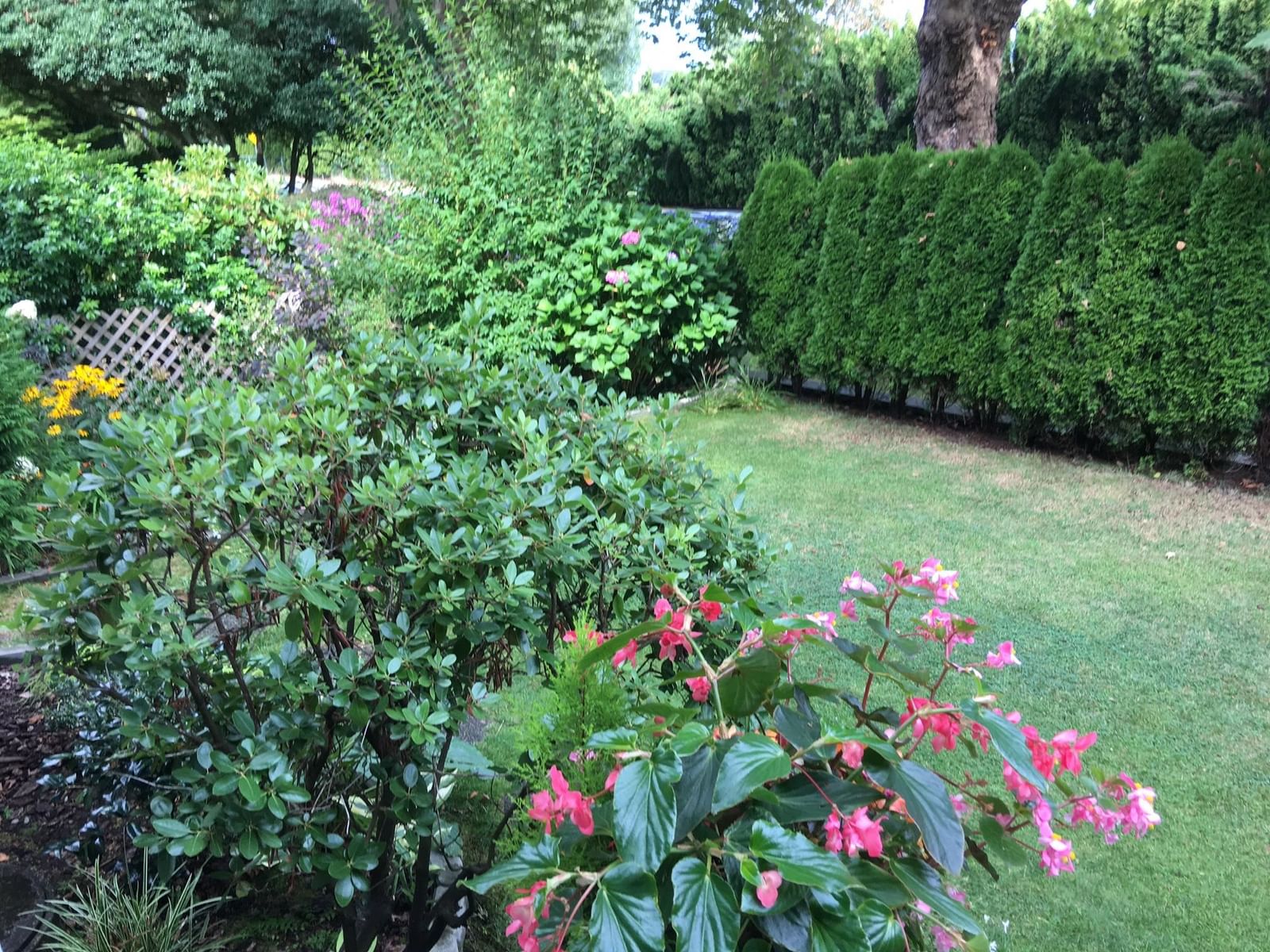 Listing Image 22