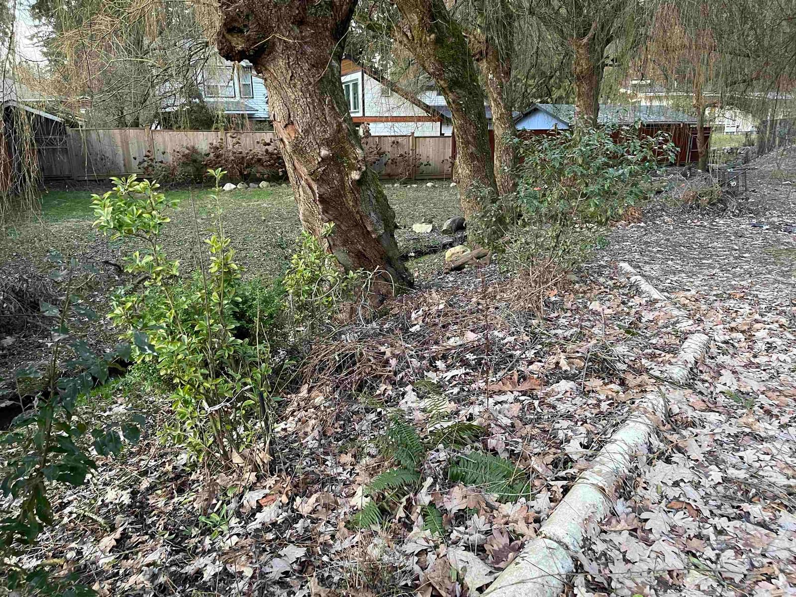 Listing Image 8
