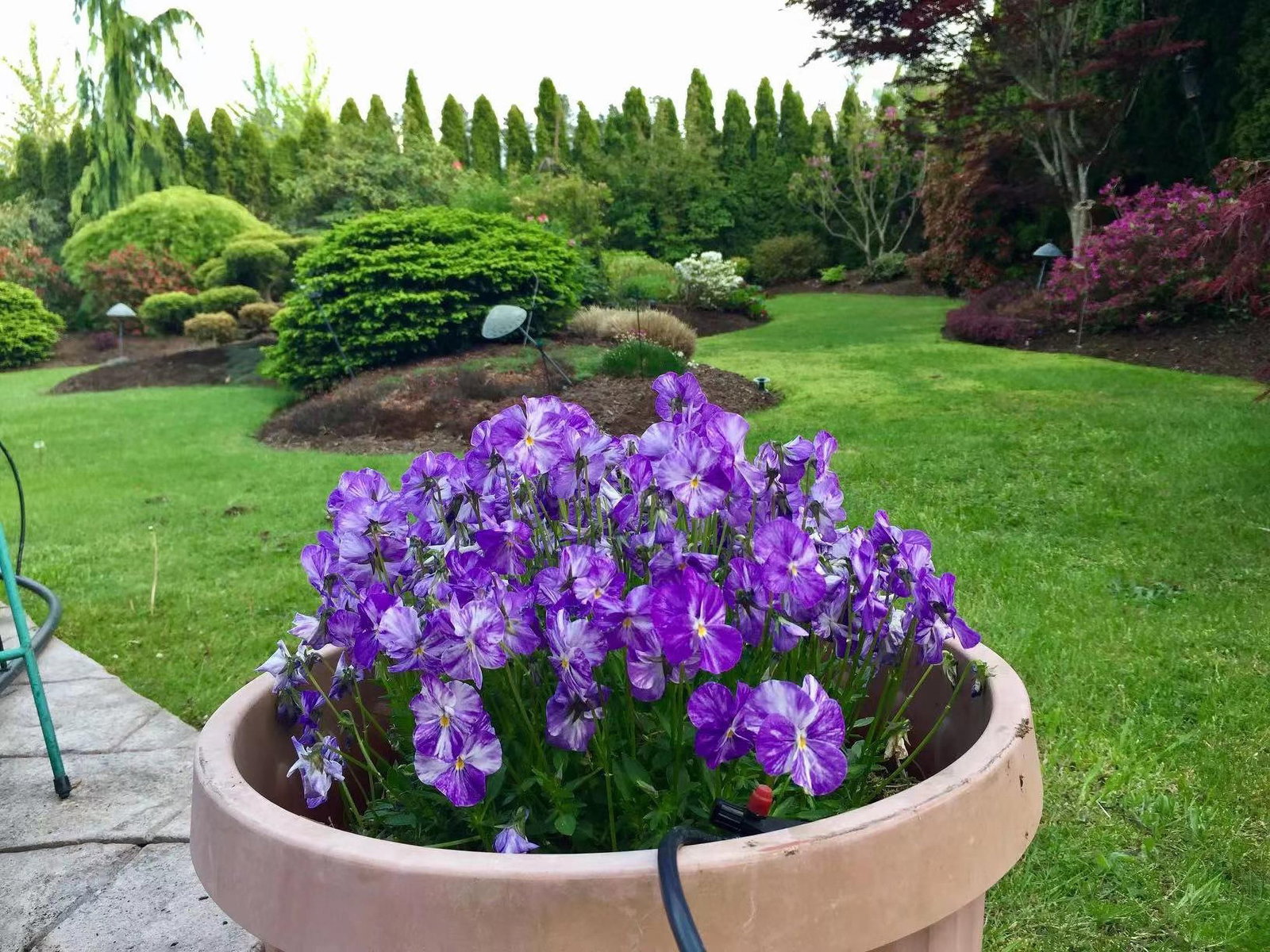 Listing Image 31