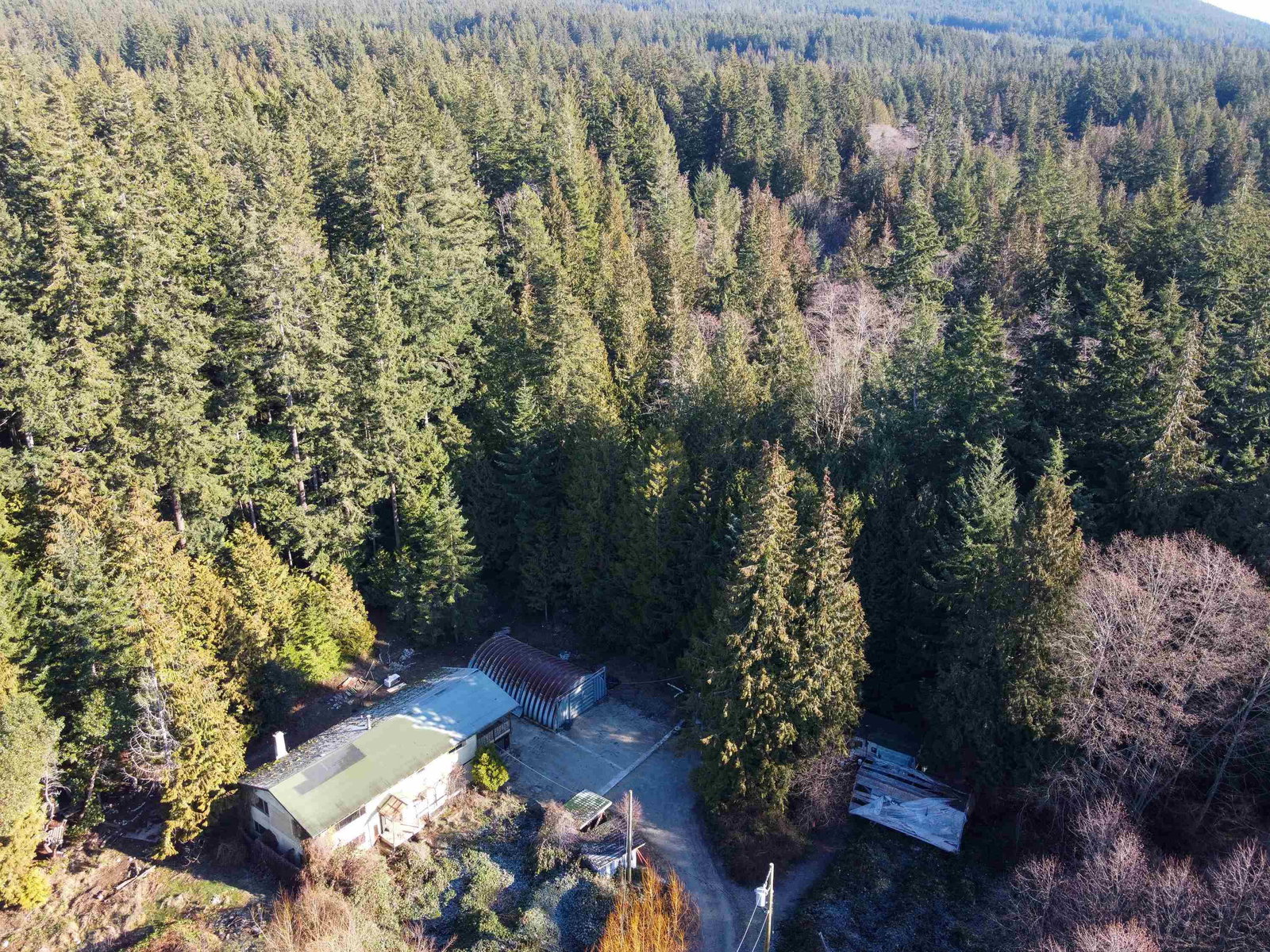 Listing Image 5