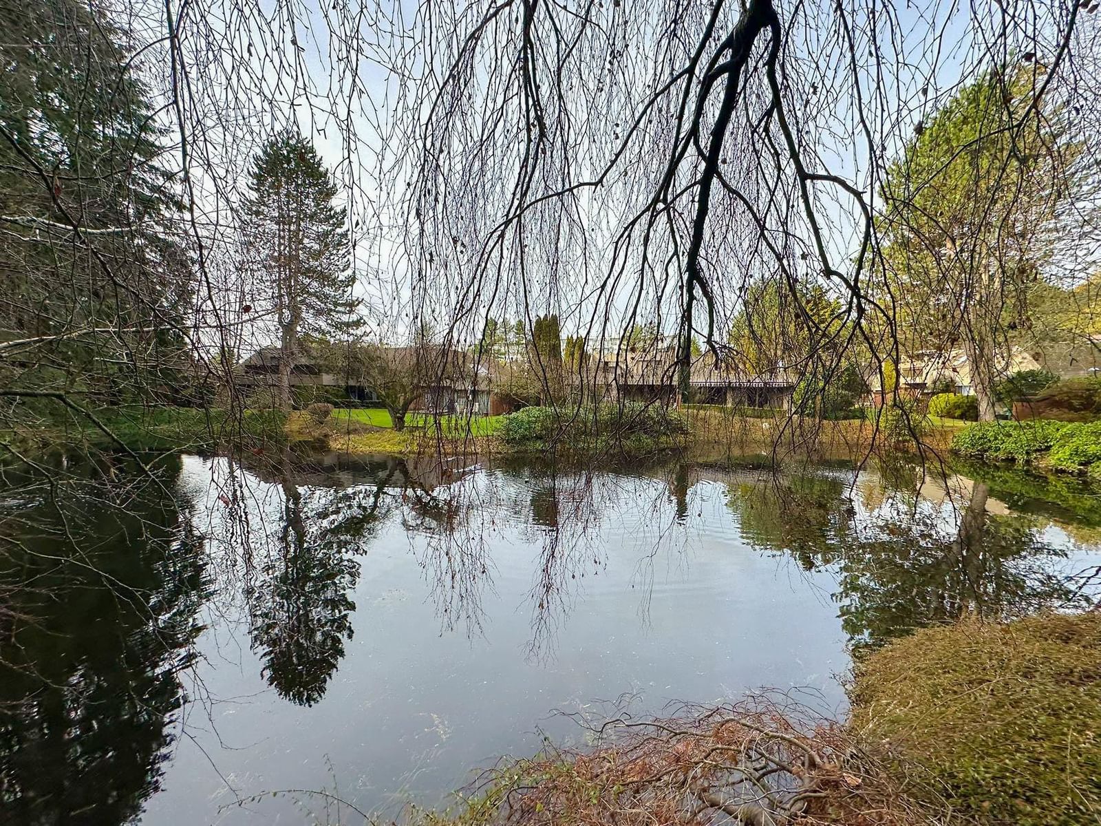 Listing Image 37