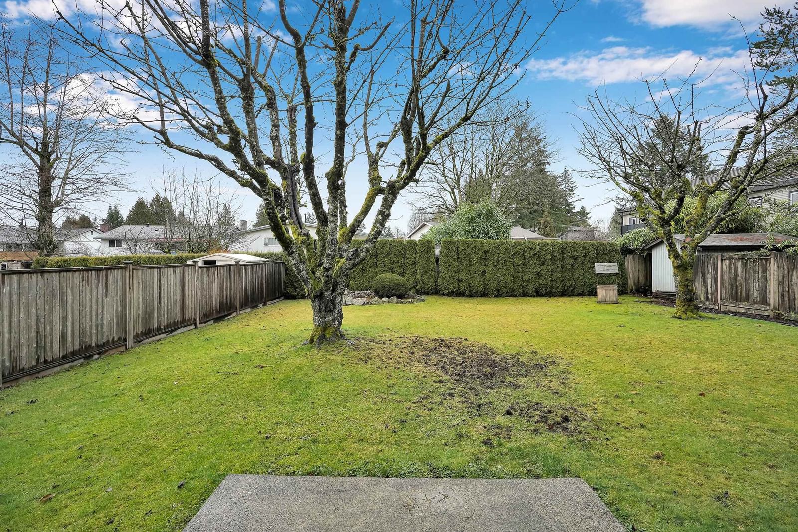 Listing Image 32
