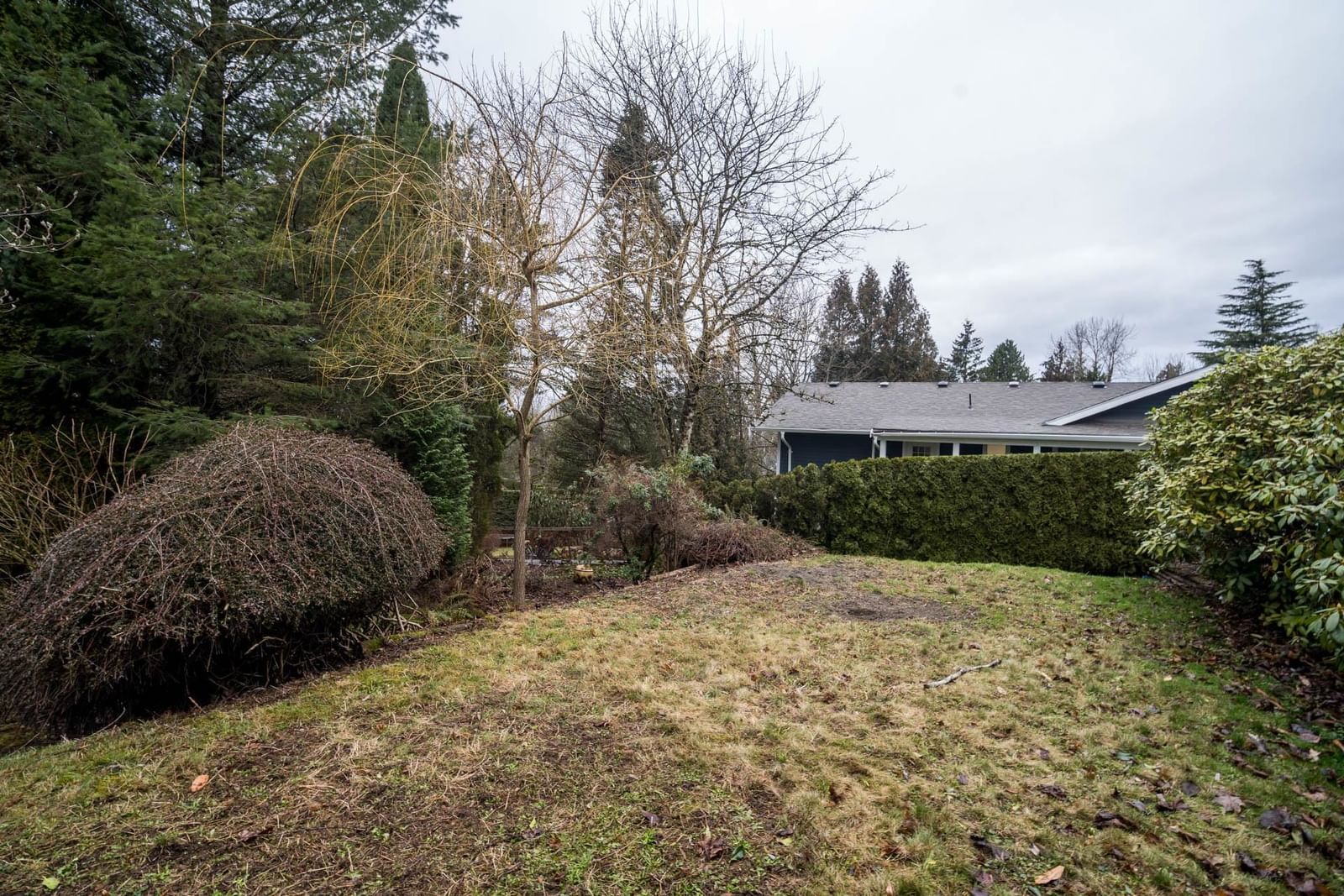 Listing Image 38