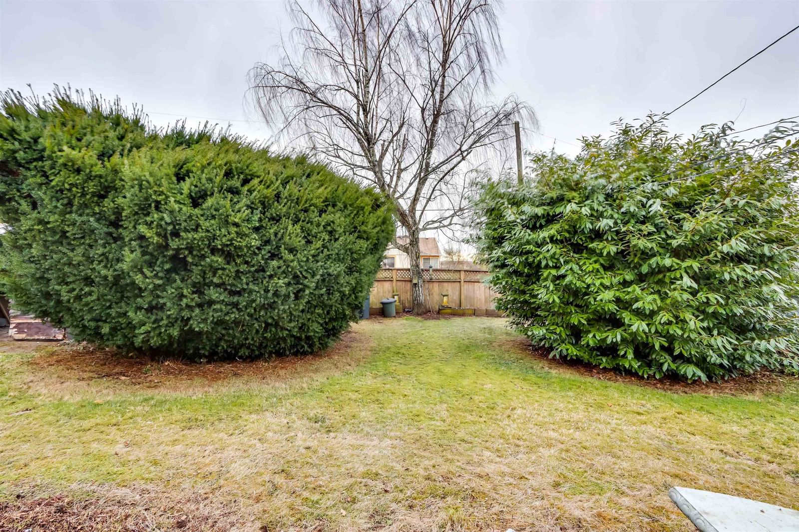 Listing Image 20