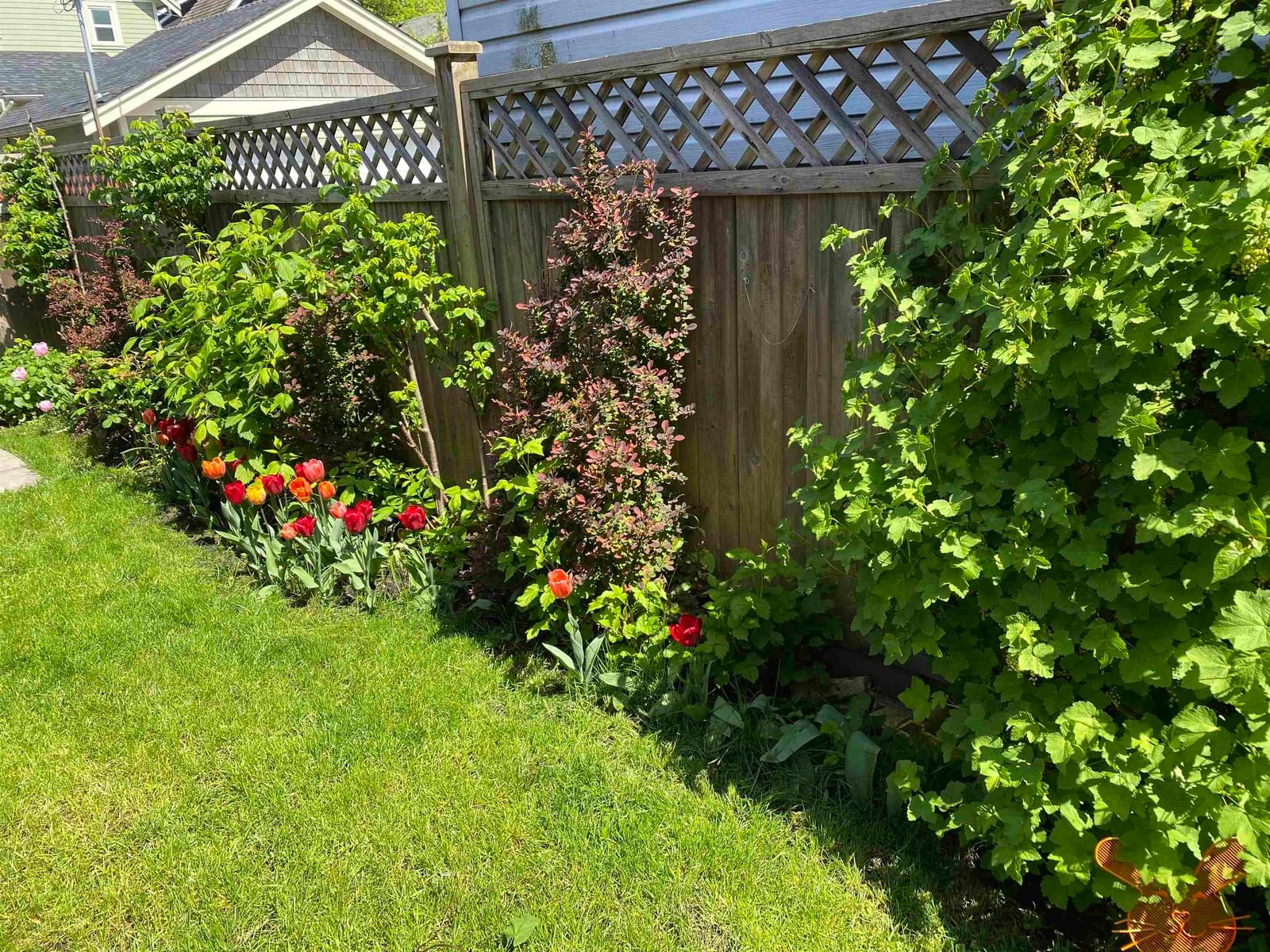 Listing Image 37