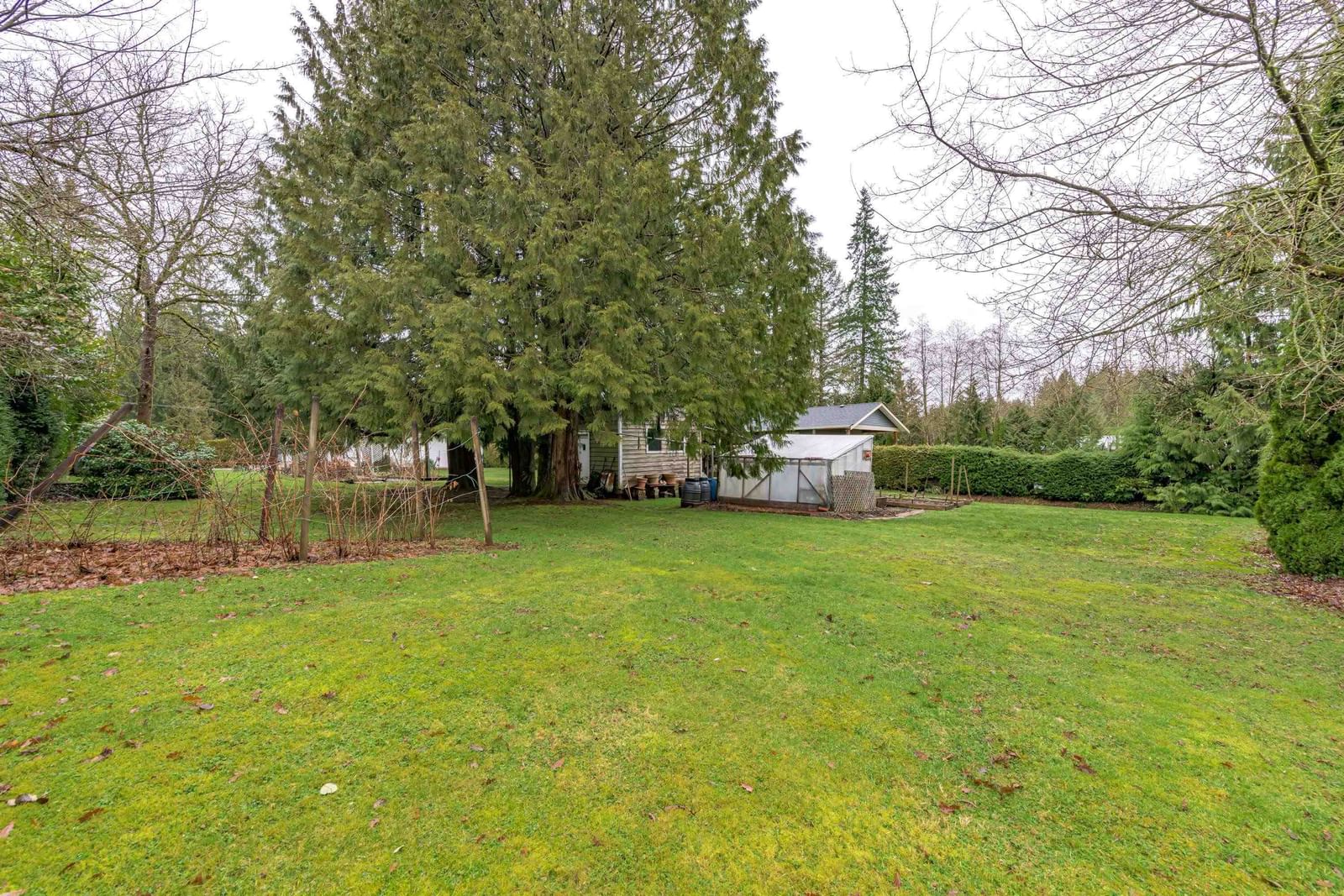 Listing Image 18
