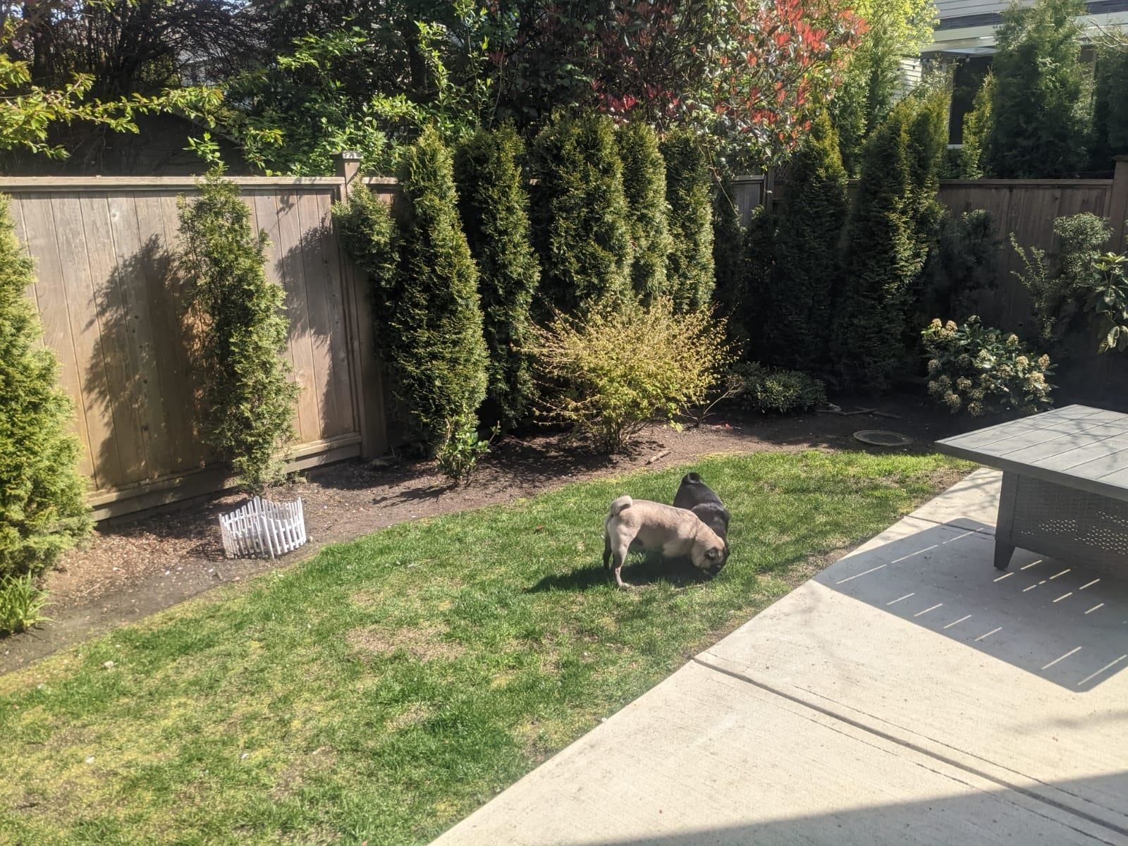 Listing Image 29