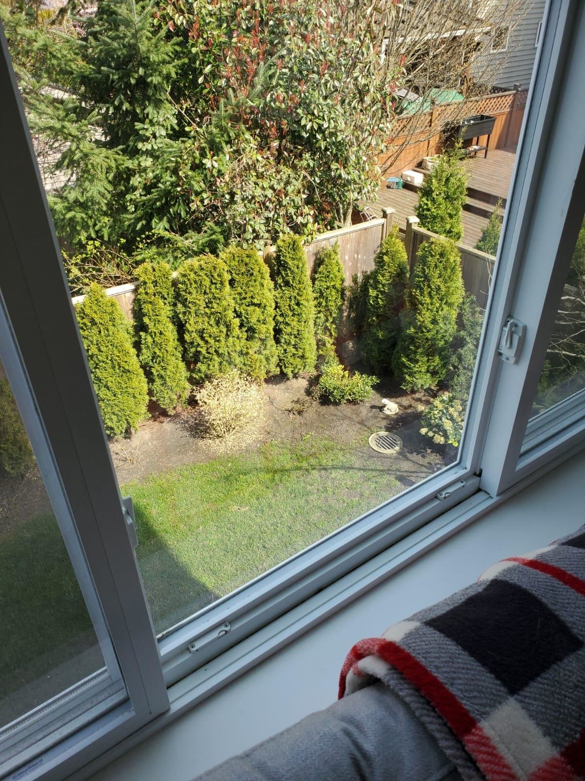 Listing Image 32