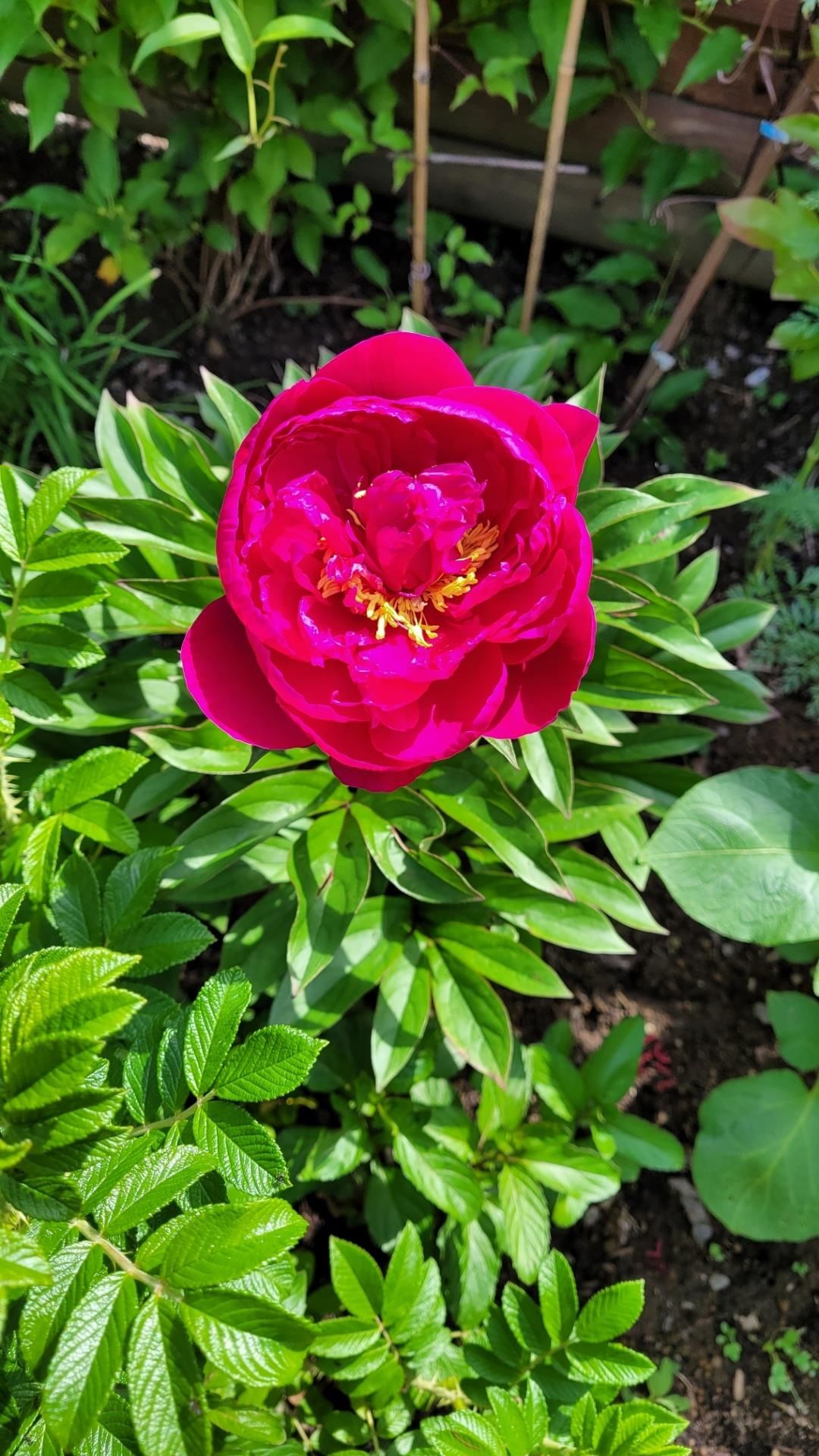 Listing Image 31