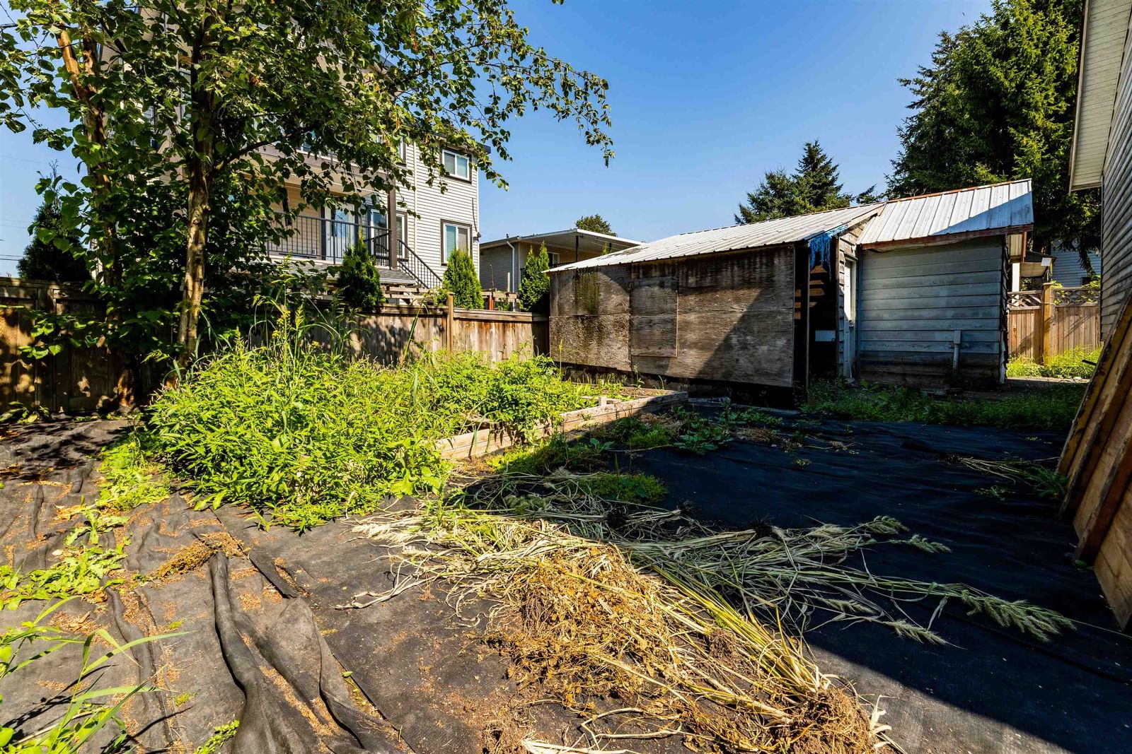 Listing Image 11