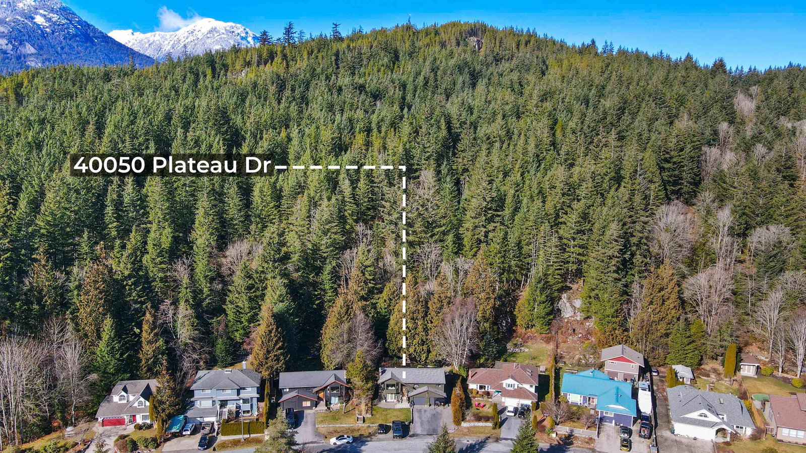 Listing Image 37