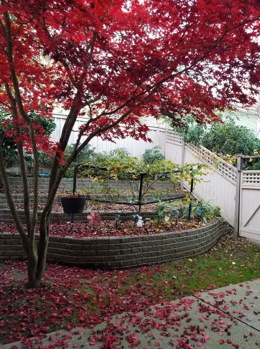Listing Image 28