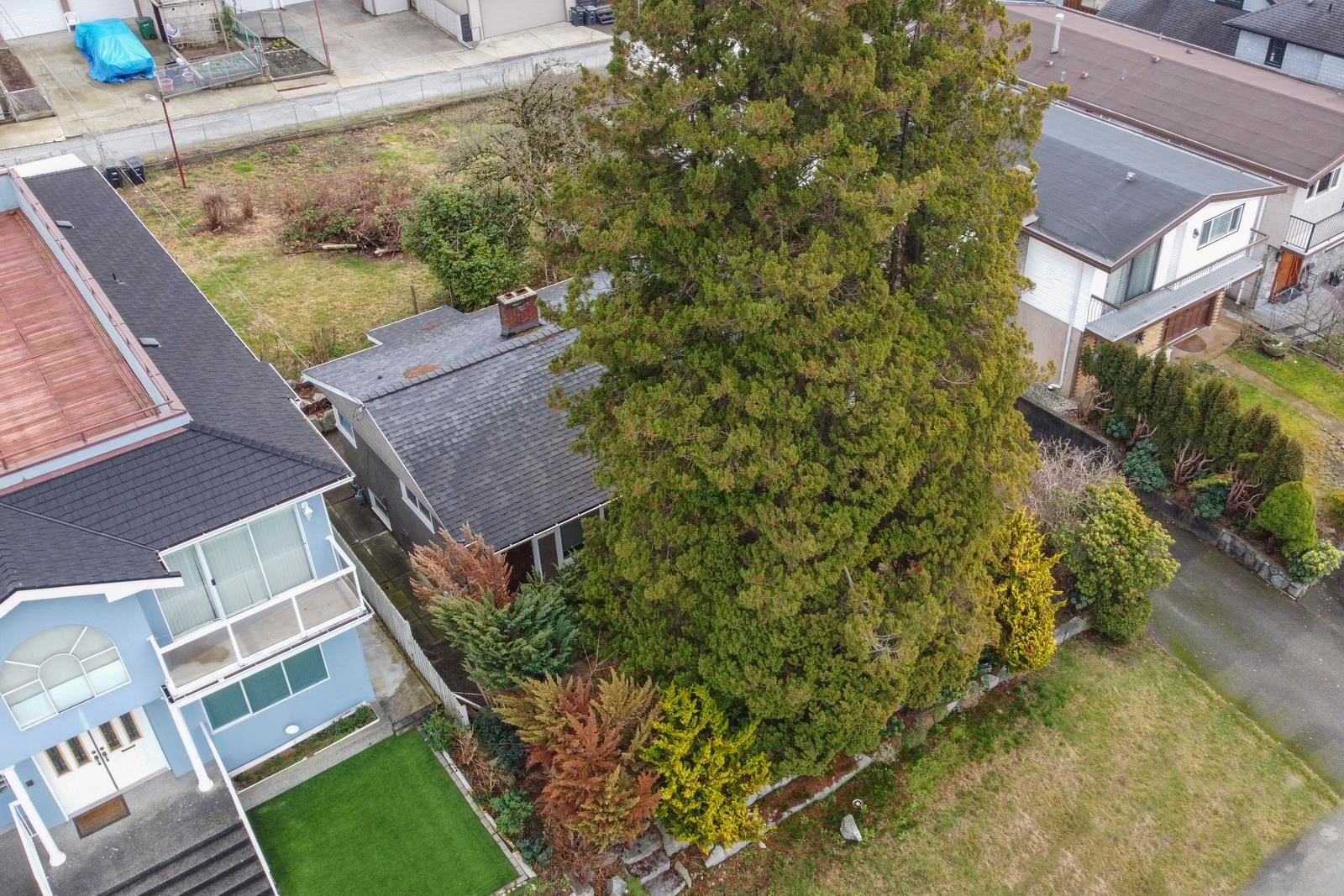 Listing Image 8