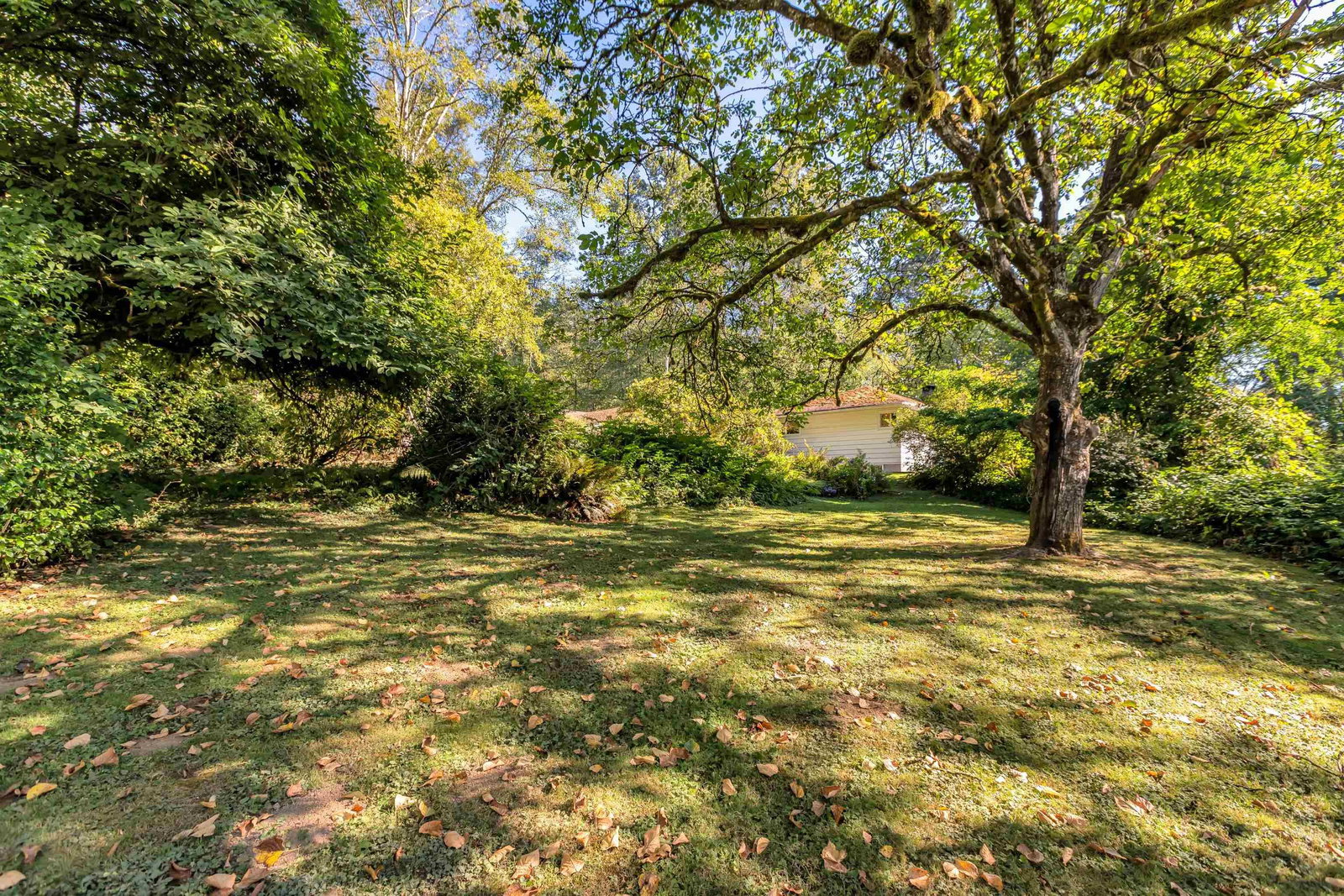 Listing Image 34