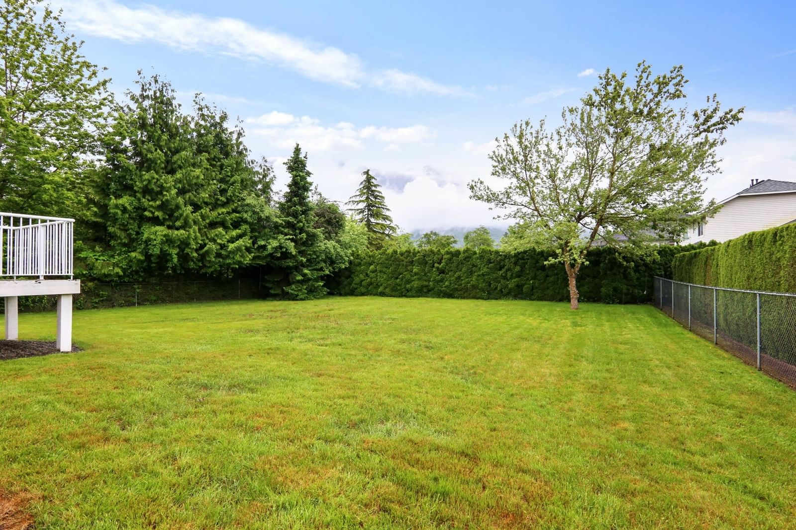 Listing Image 25