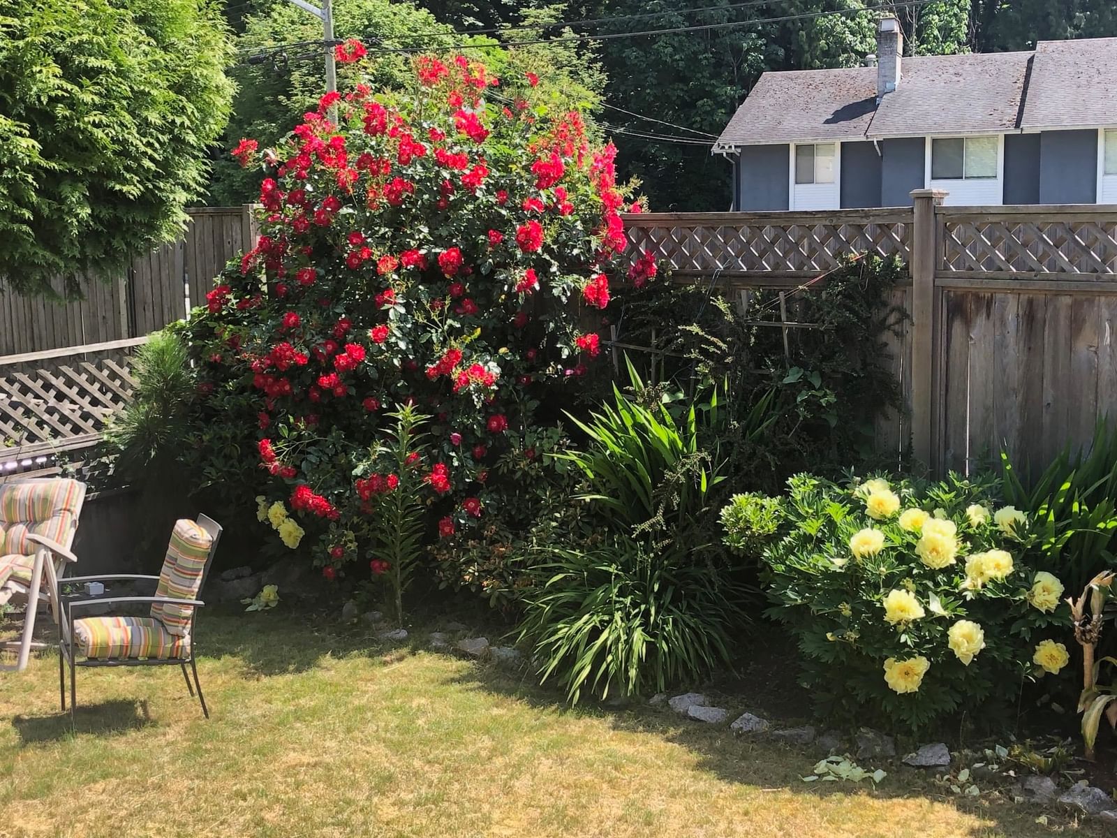 Listing Image 36