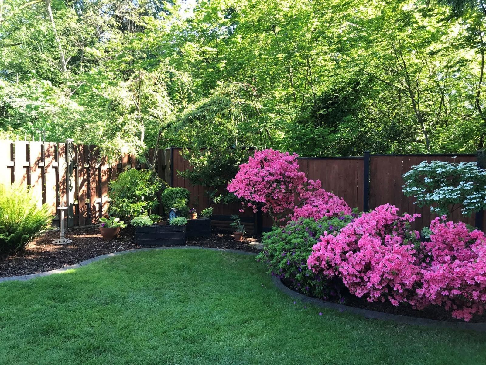 Listing Image 32