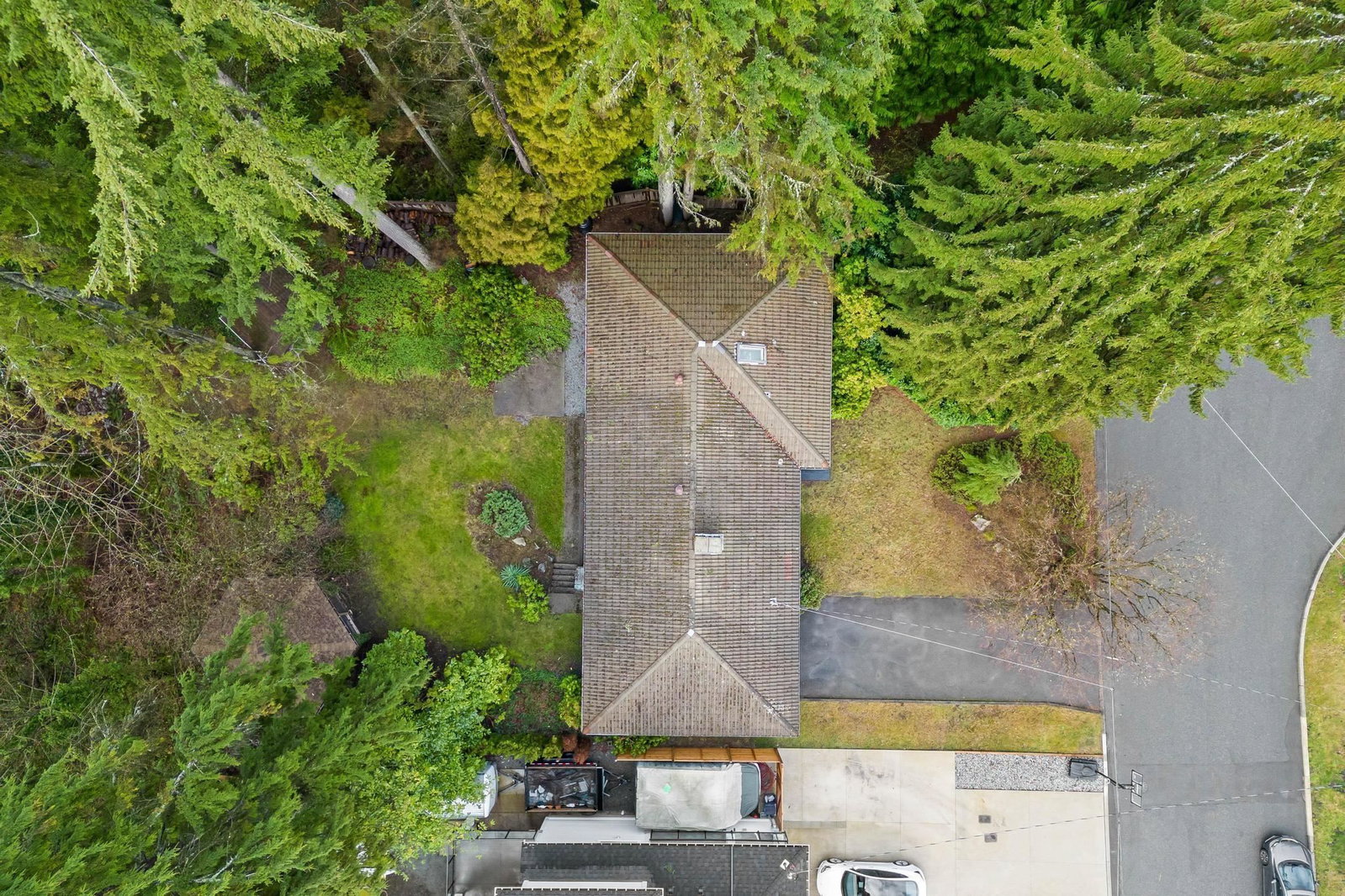 Listing Image 20