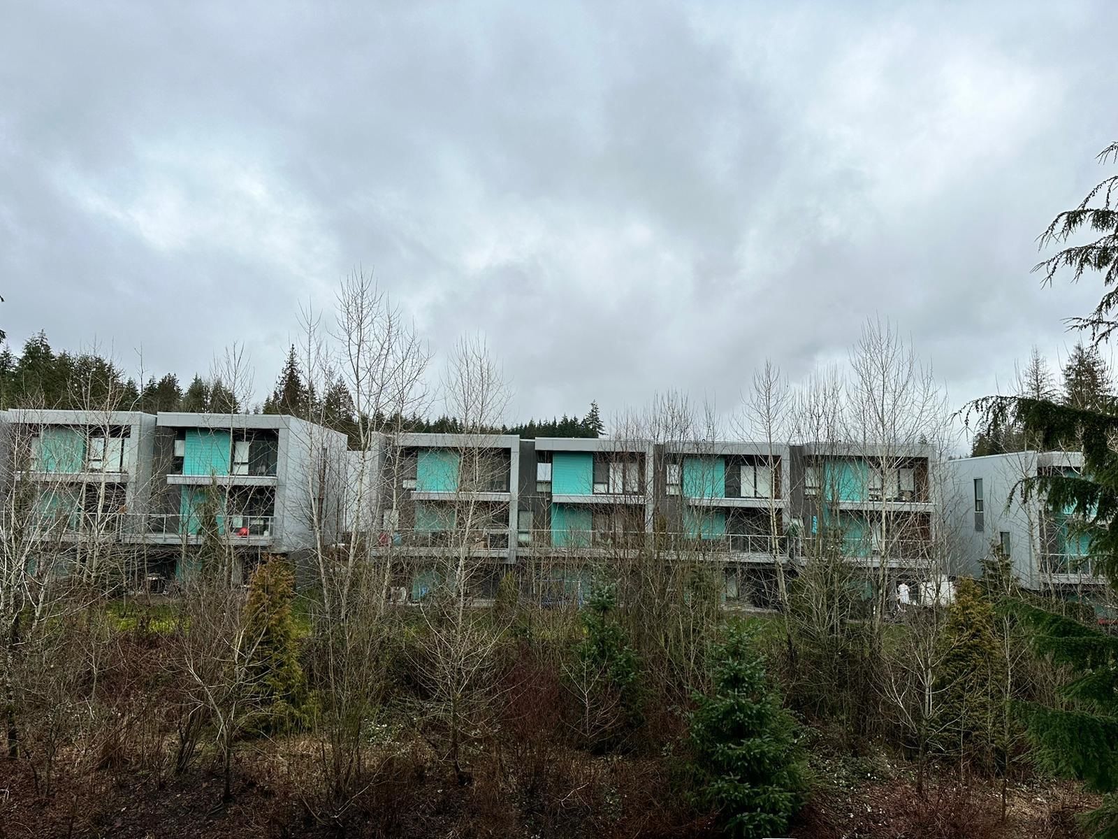 Listing Image 32